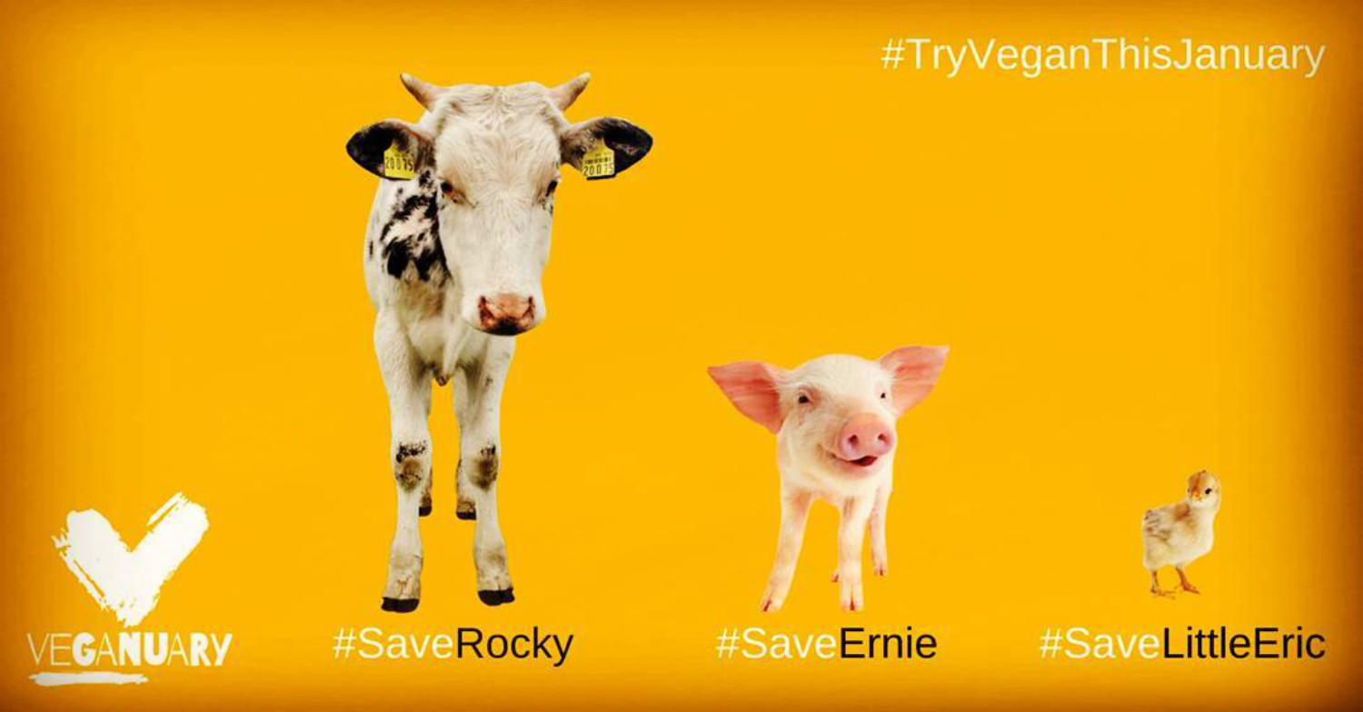 Veganuary untuk vegan