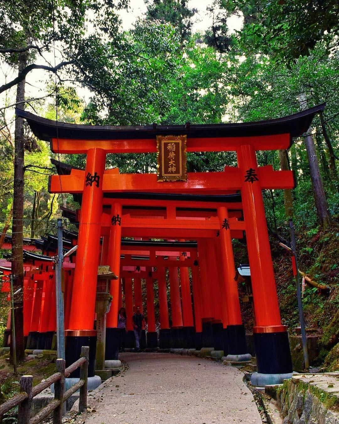 torii suci di kuil shinto