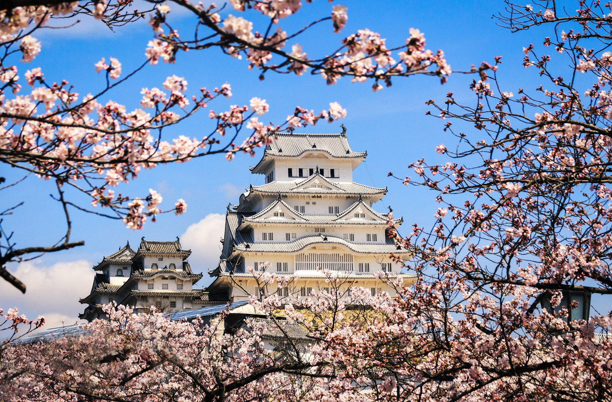 Kastil Himeji menjadi destinasi wisata