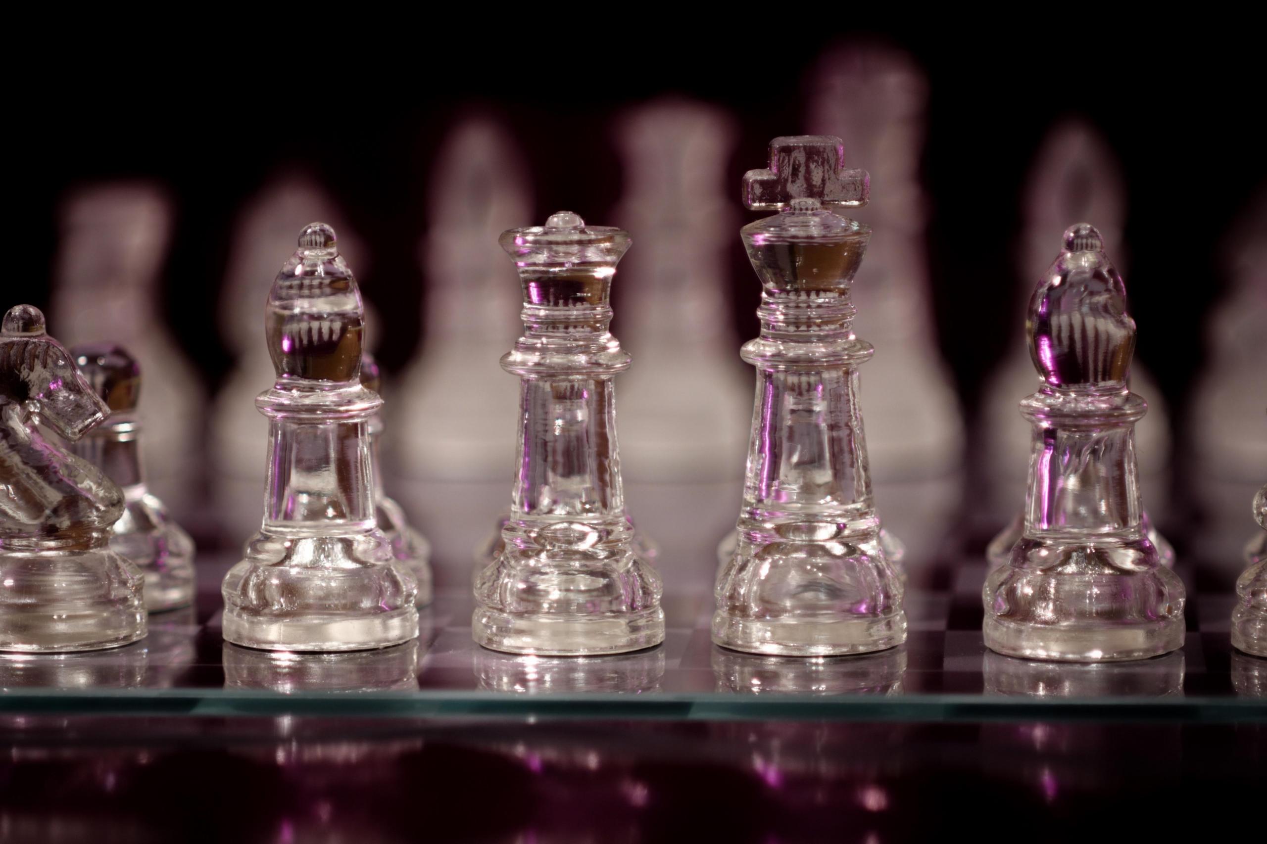 gajah baik vs gajah jahat