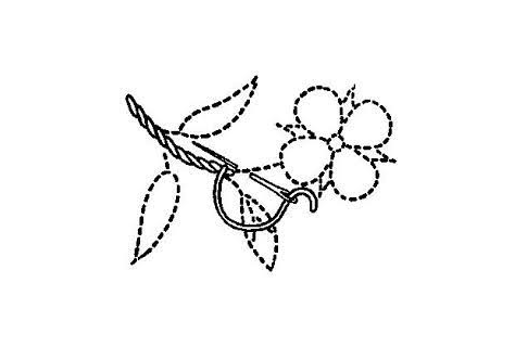 teknik menyulam Stem stitch