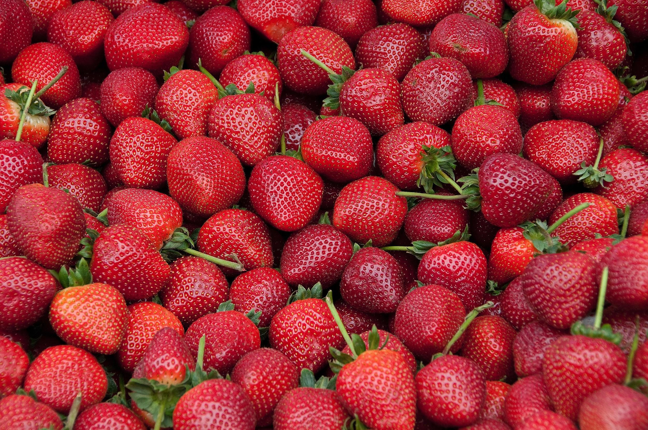 stroberi untuk wimbledon