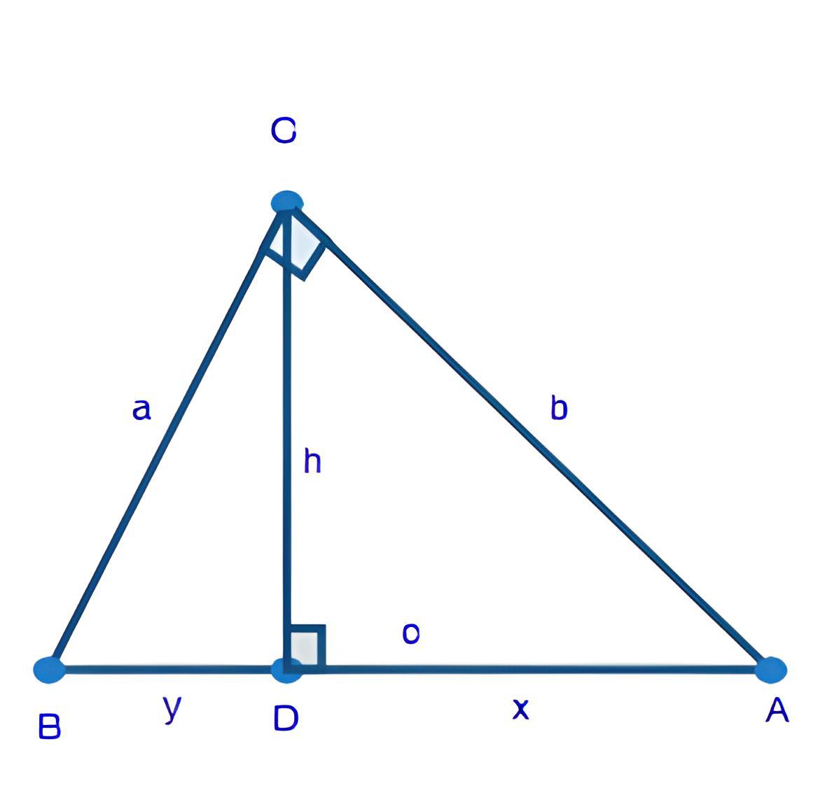 contoh segitiga sembarang