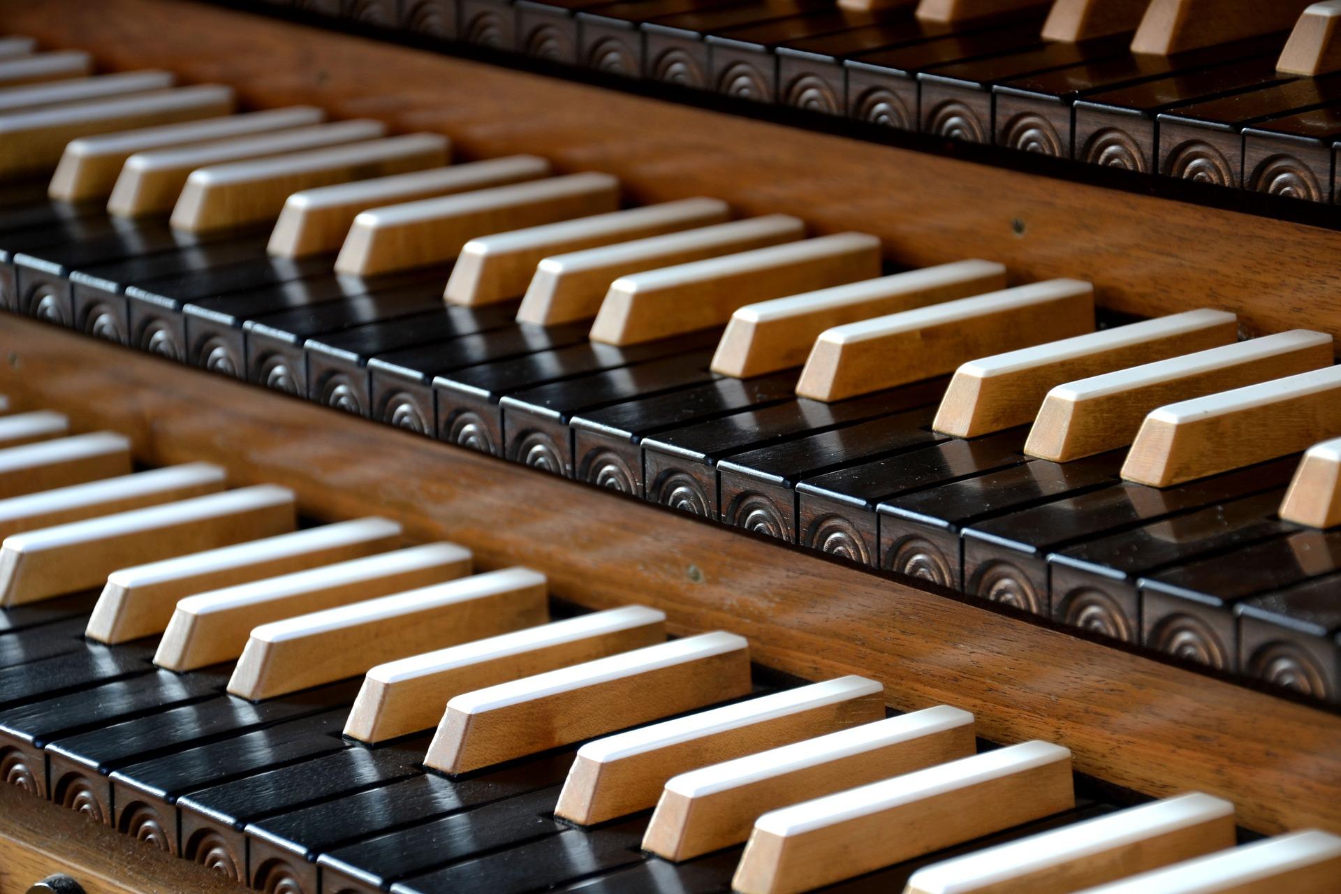 organ vs piano