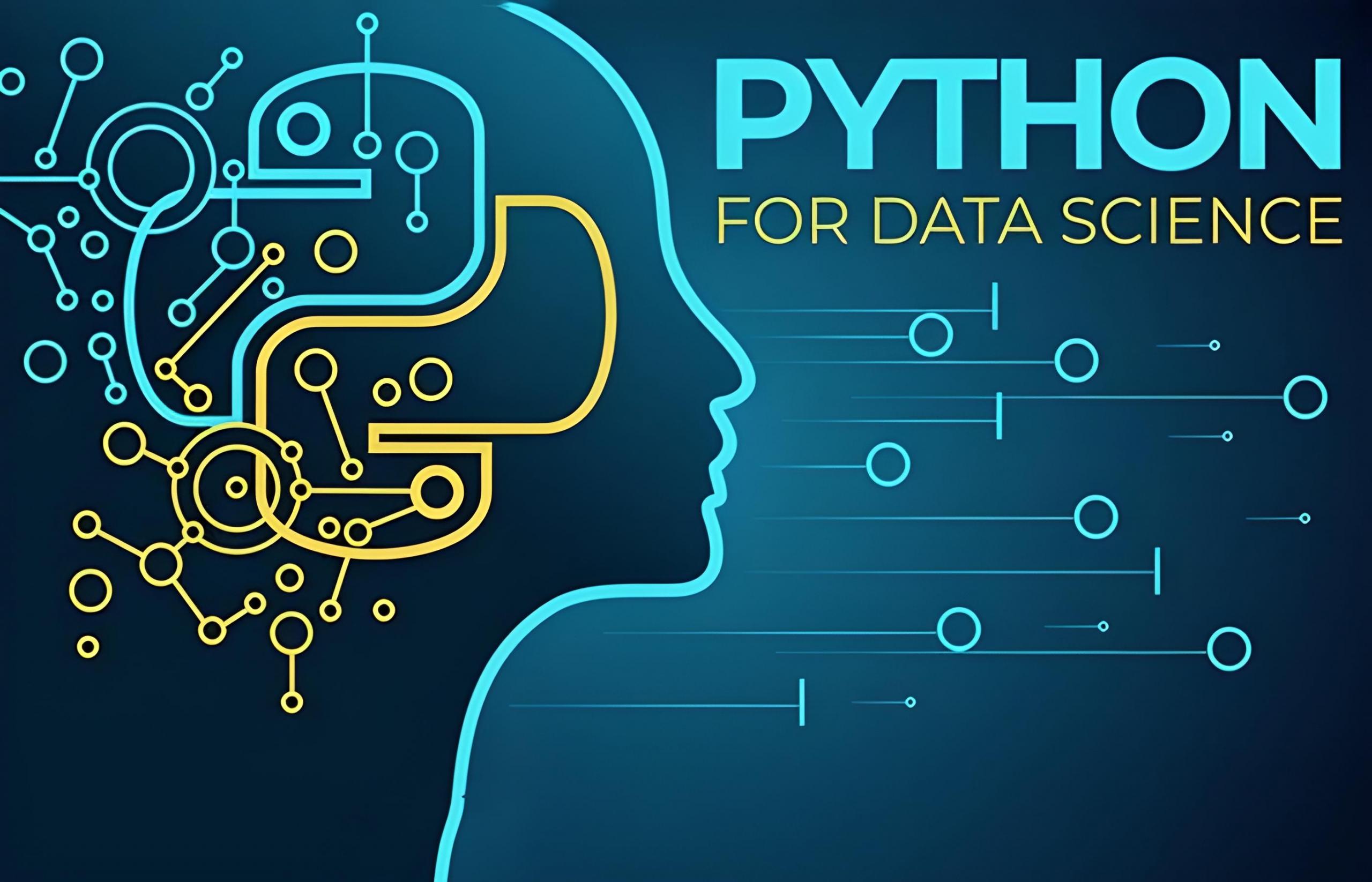 python untuk ilmu data