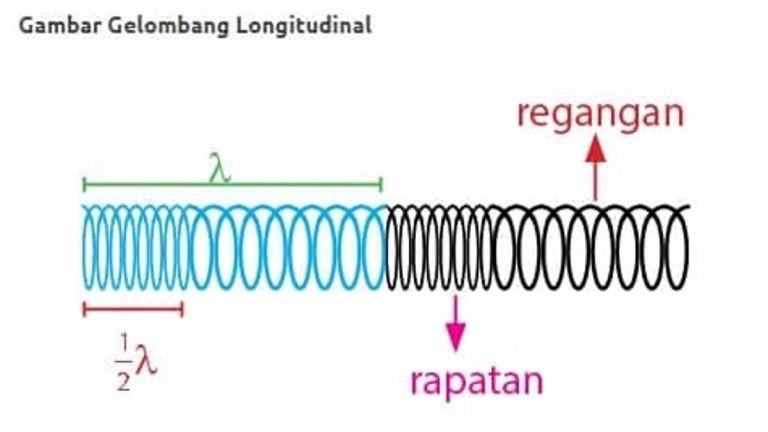 panjang gelombang pada gelombang longitudinal