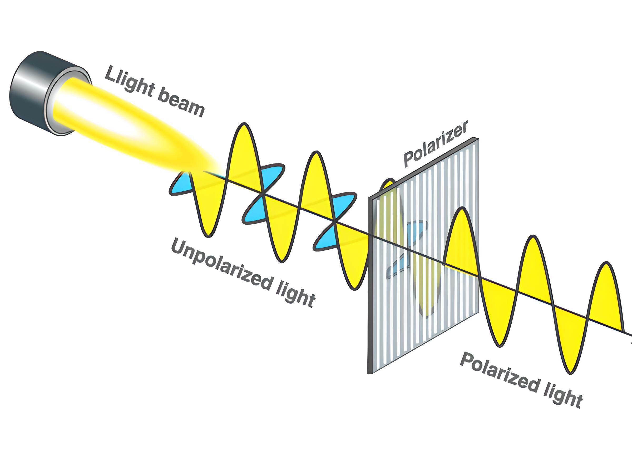 bagaimana proses terjadinya polarisasi