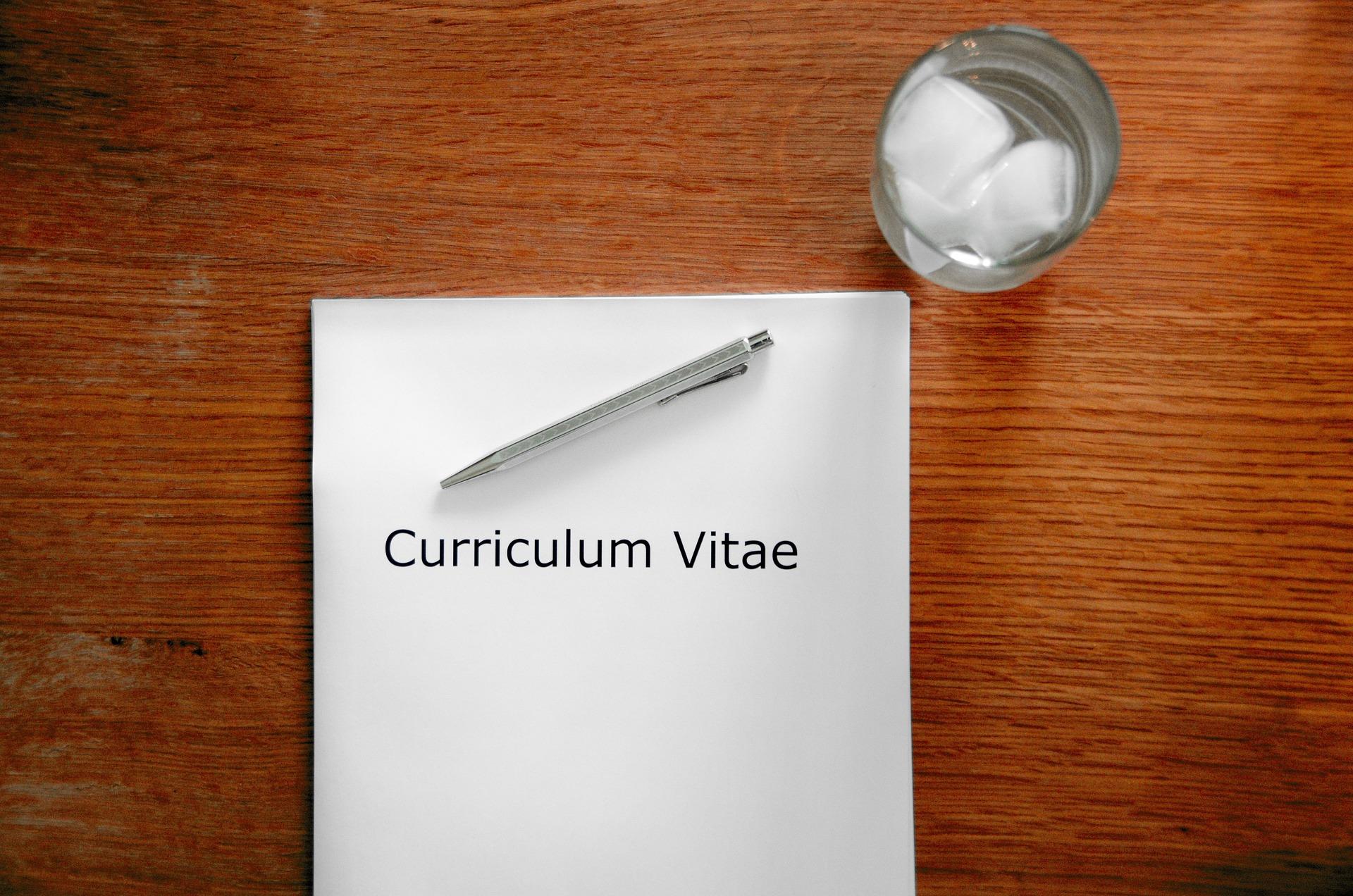 belajar membuat CV