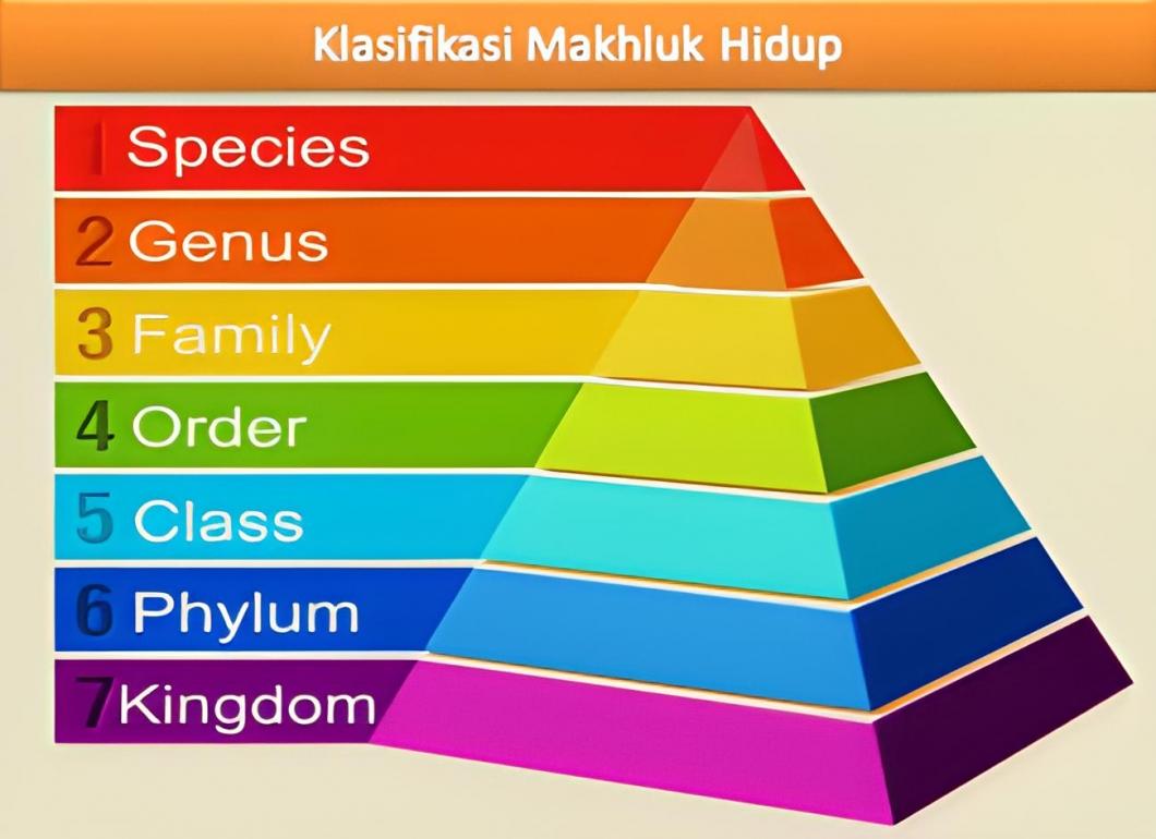 Biologi Kelas 10 Pengertian, Ciri, Dan Klasifikasi Makhluk Hidup