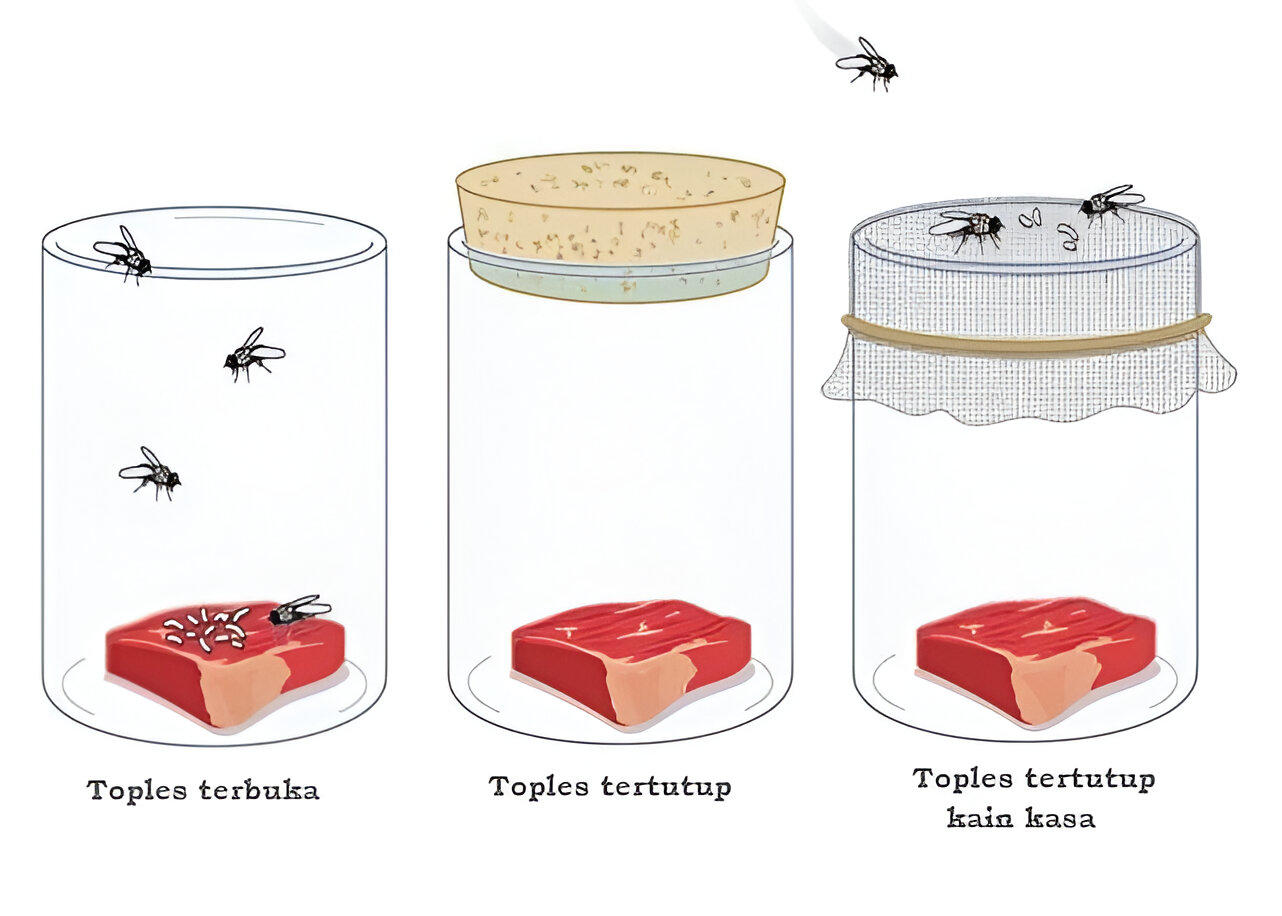 percobaan Francesco Redi tentang biogenesis