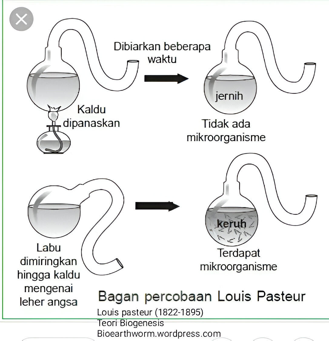 Louis Pasteur menyempurnakan percobaan tentang teori biogenesis