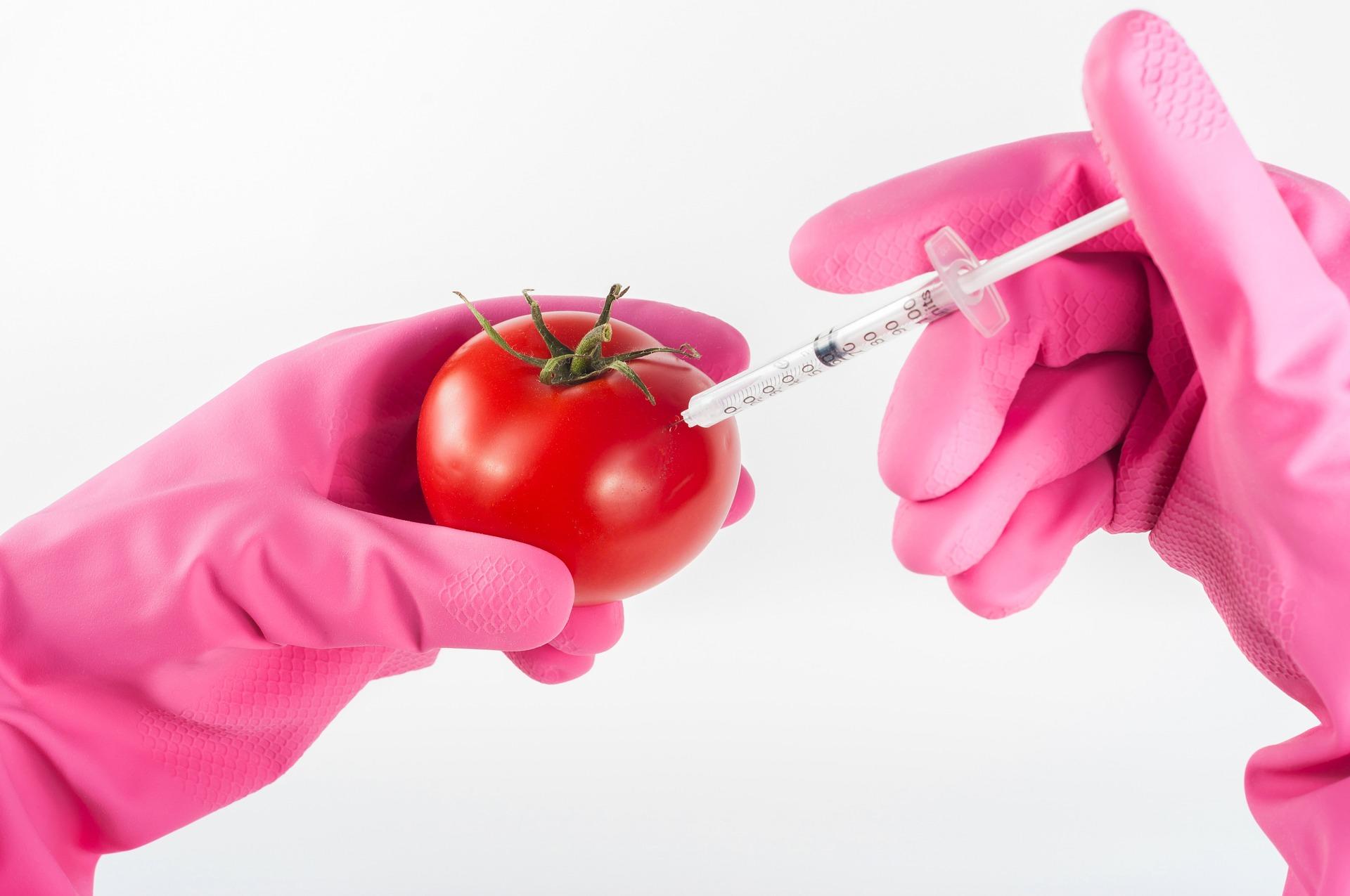 Apa pengertian bioteknologi modern
