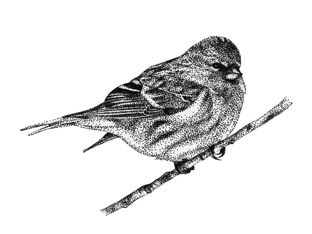 Teknik stippling dalam melukis akrilik, source: Fine Art Tutorials