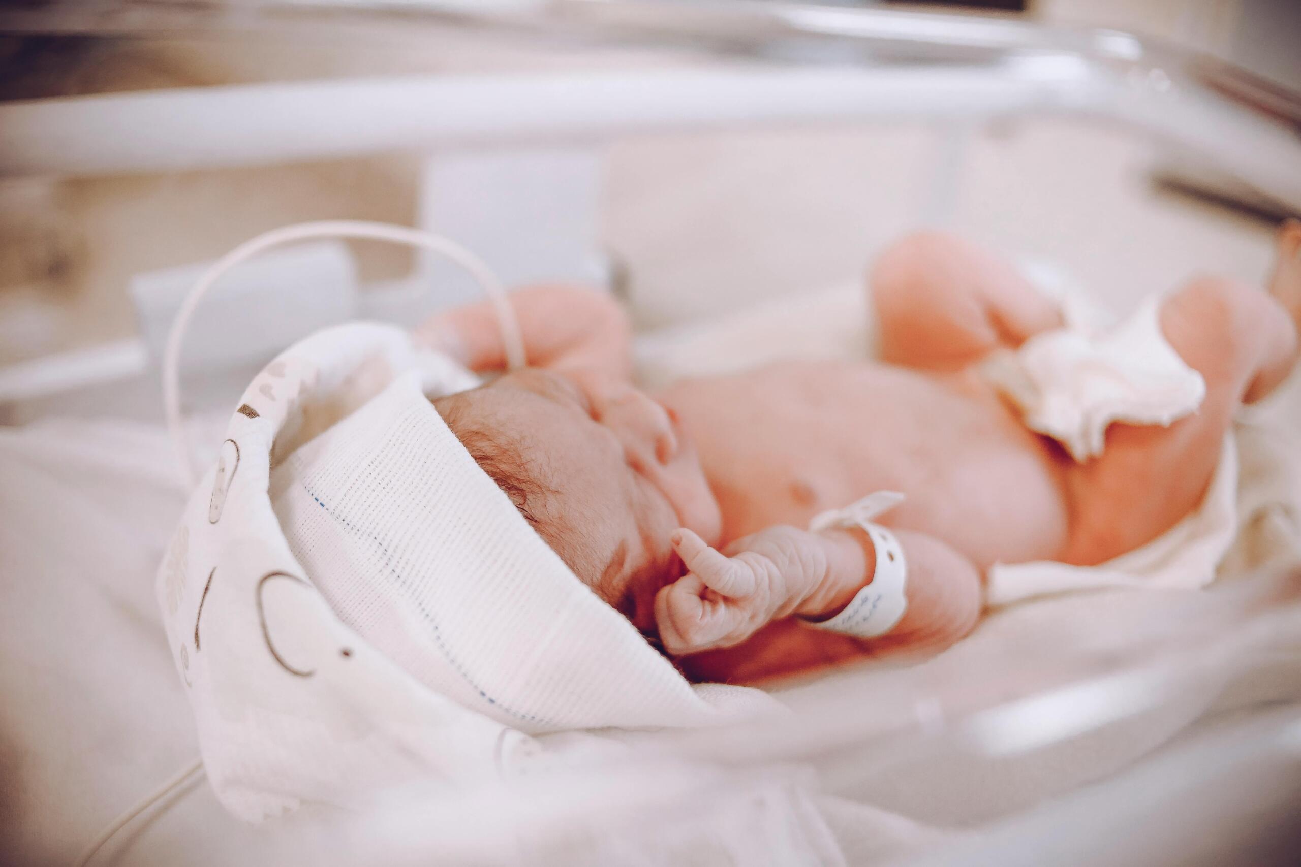 bayi yang baru lahir