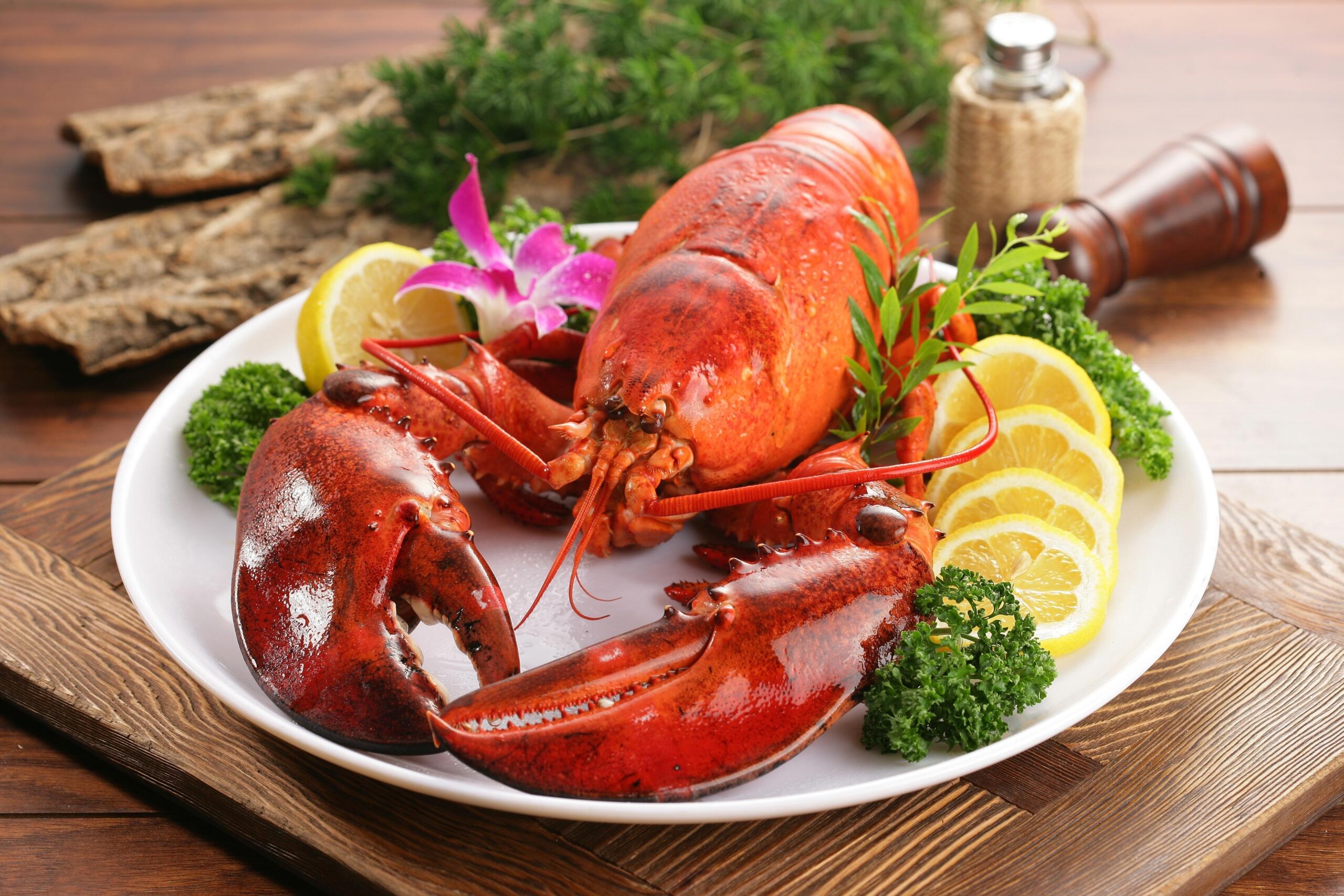Ada banyak sekali hidangan seafood yang lezat, source: Pixabay