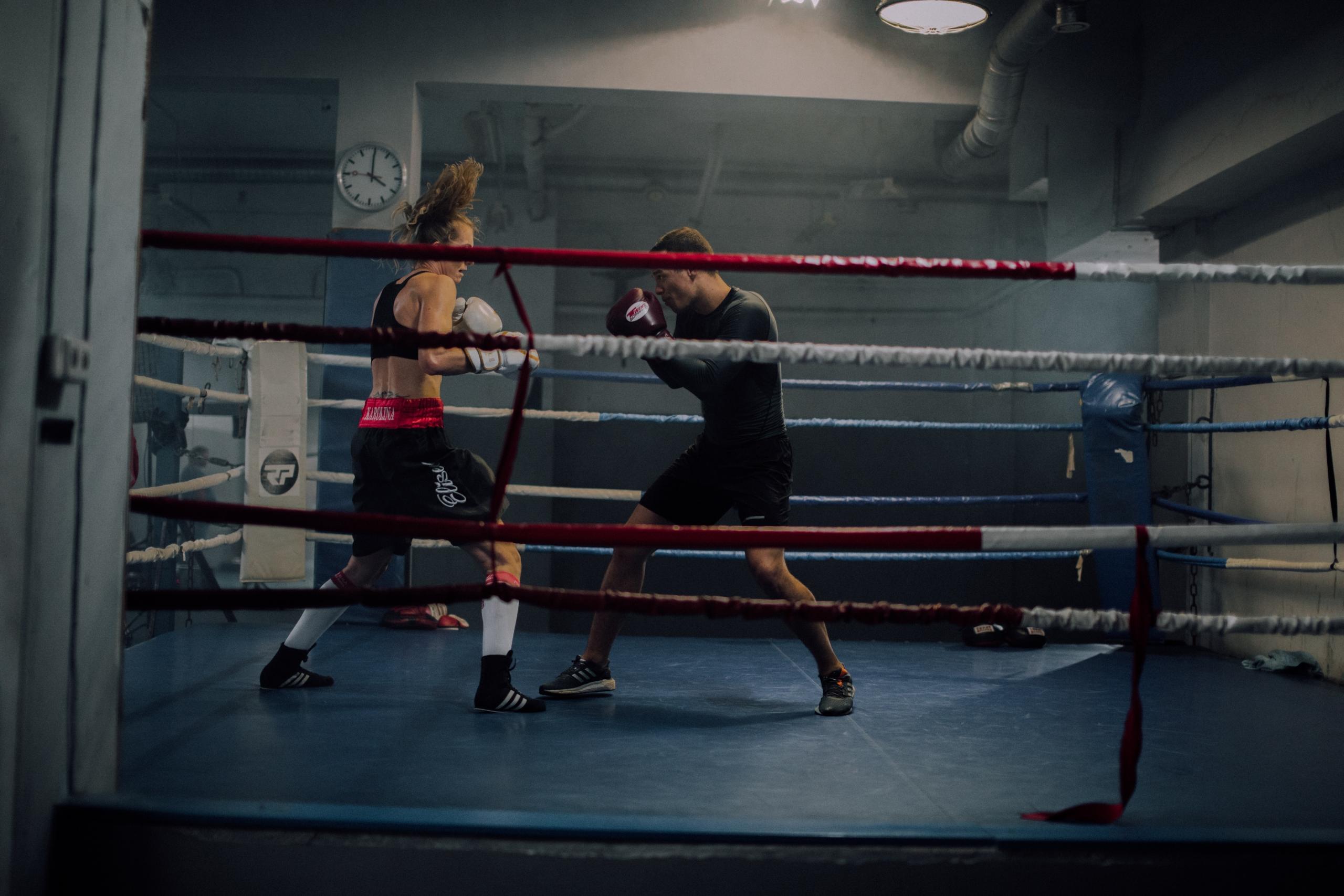 Boxer practicing in the ring