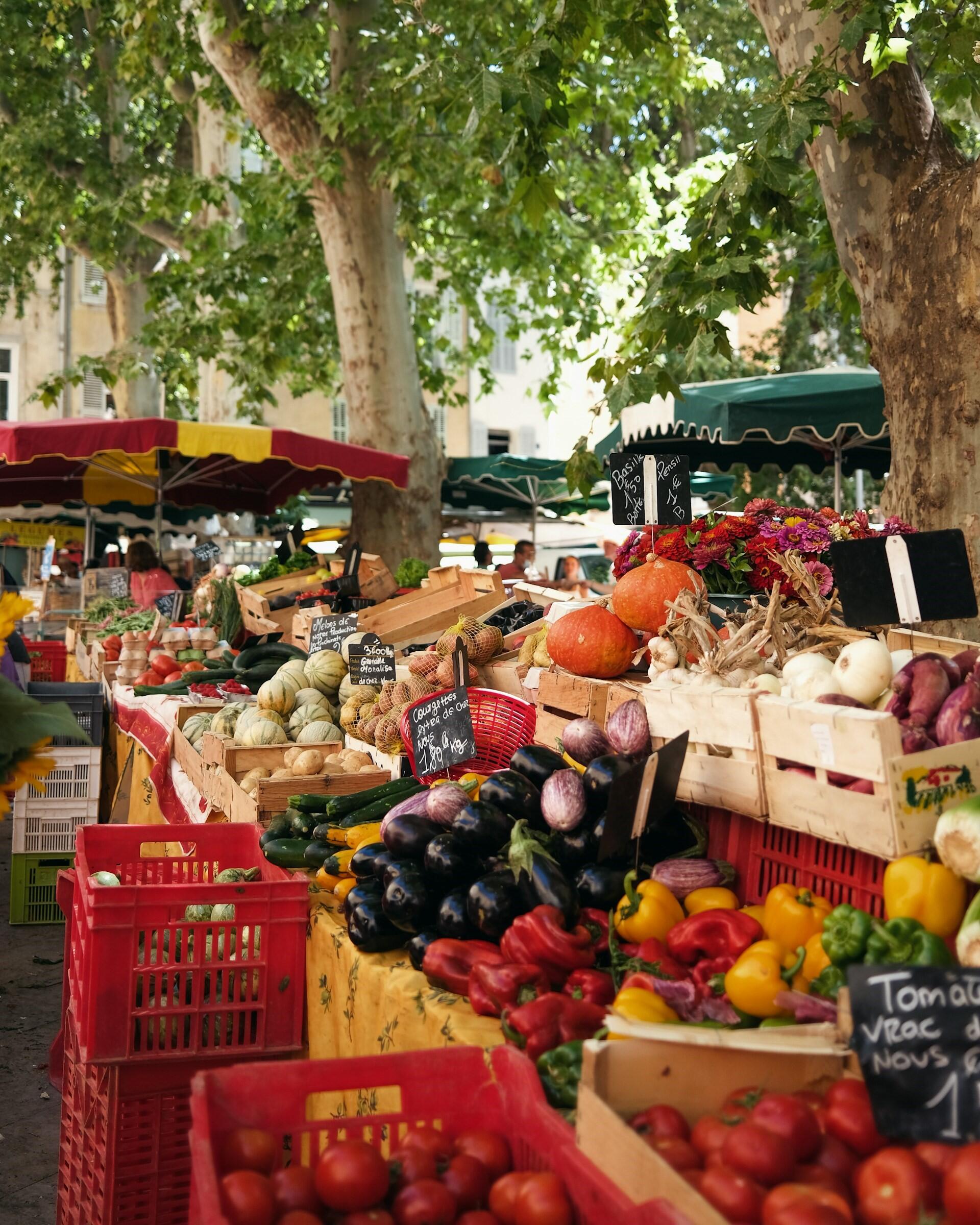 Market stall displaying tomatoes, peppers, aubergines, onions, pumpkins and other vegetables beneath trees