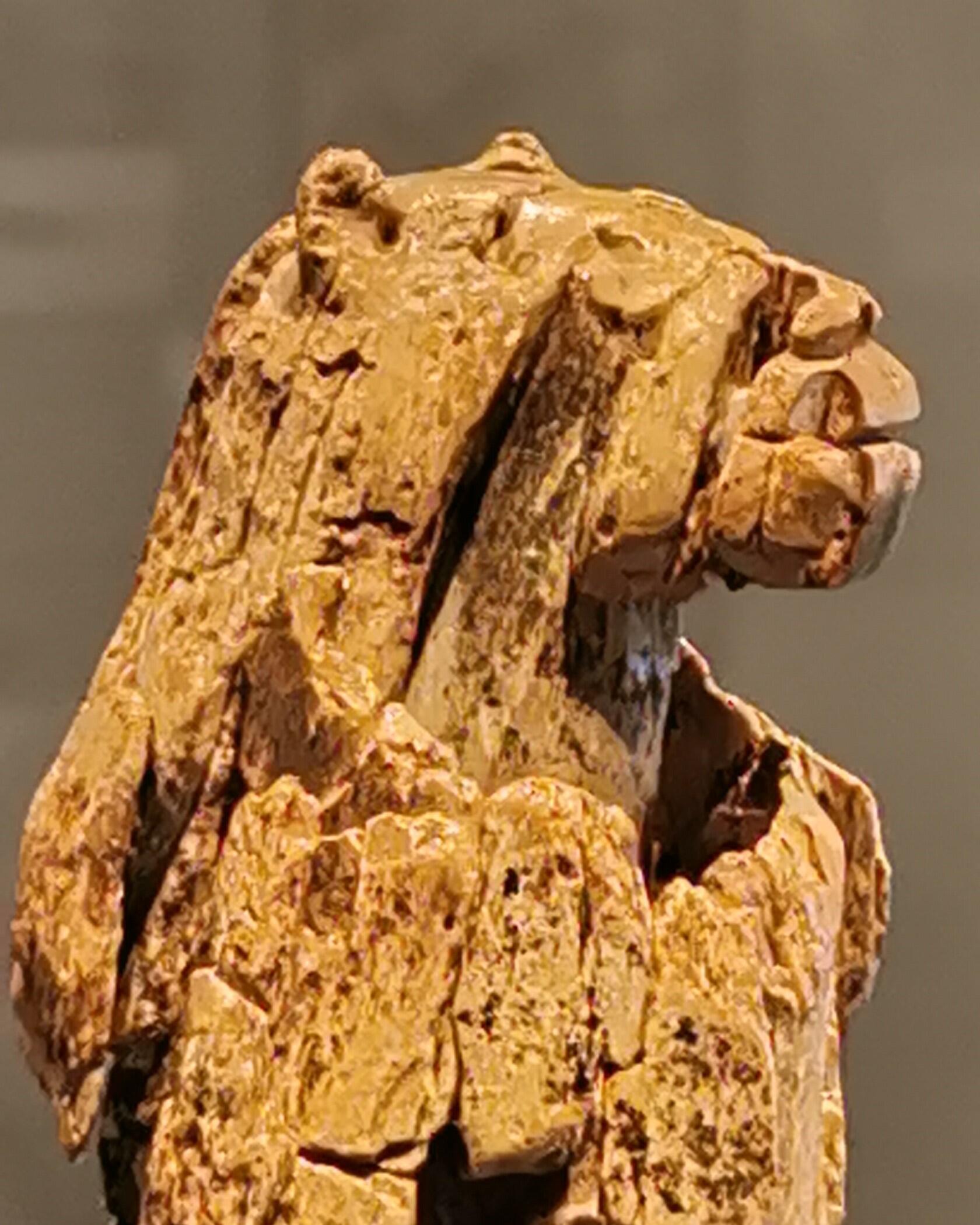 Löwenmensch