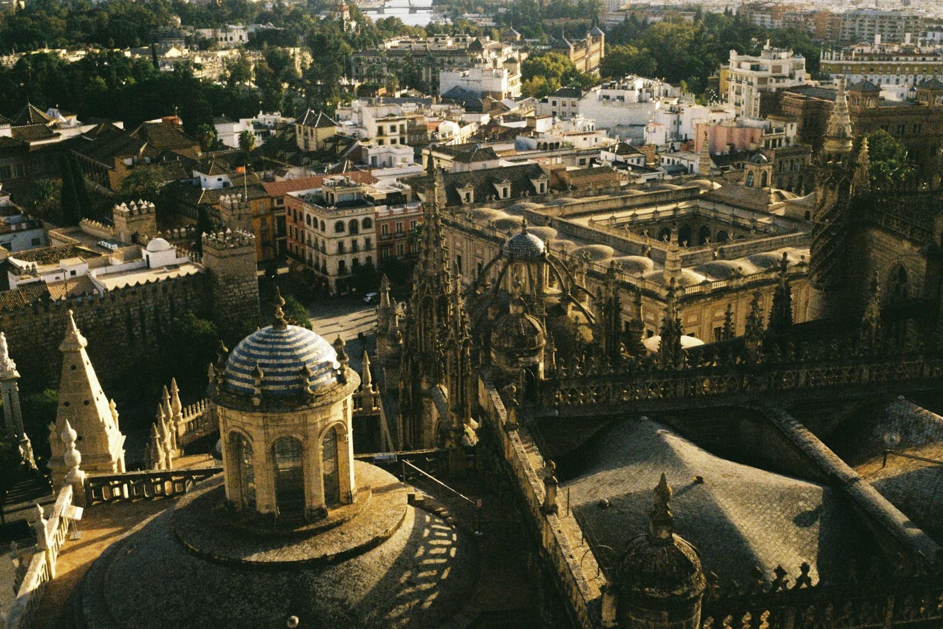 The Seville rooftops.