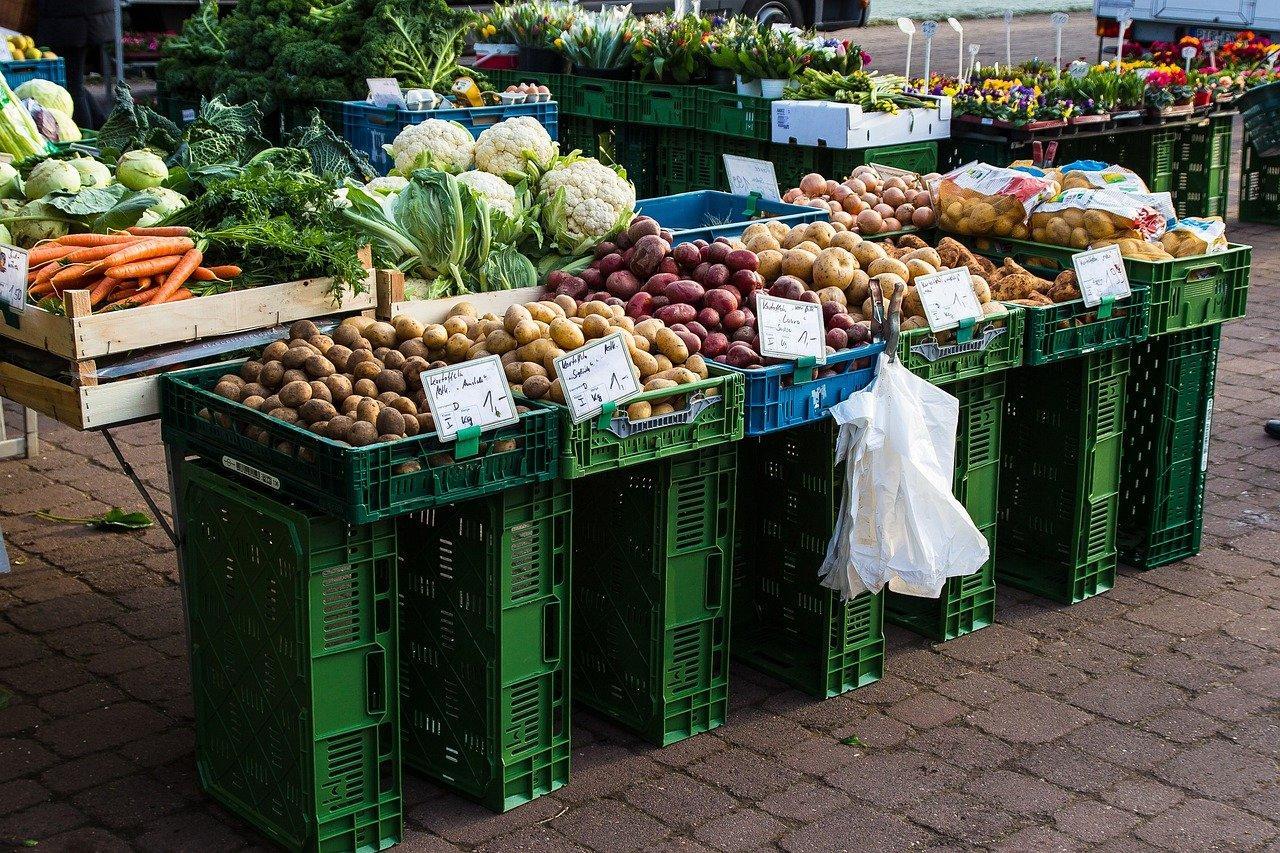 Things to do in Limerick