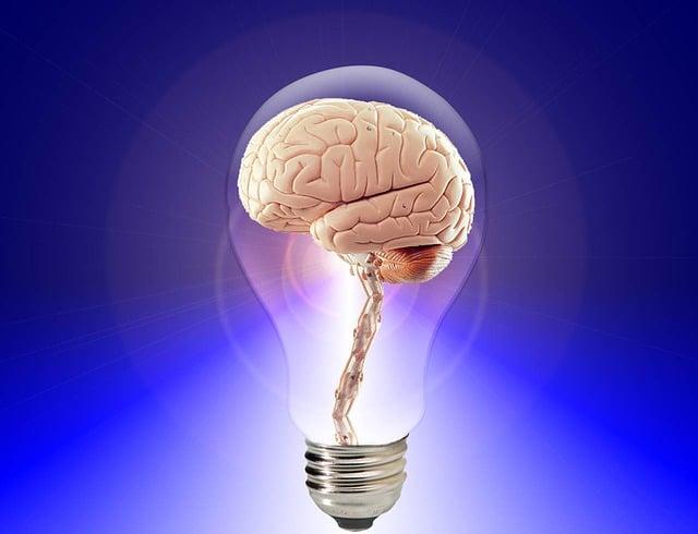 brain health