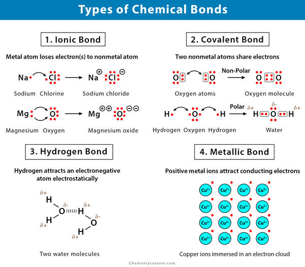 types of chemical bonds