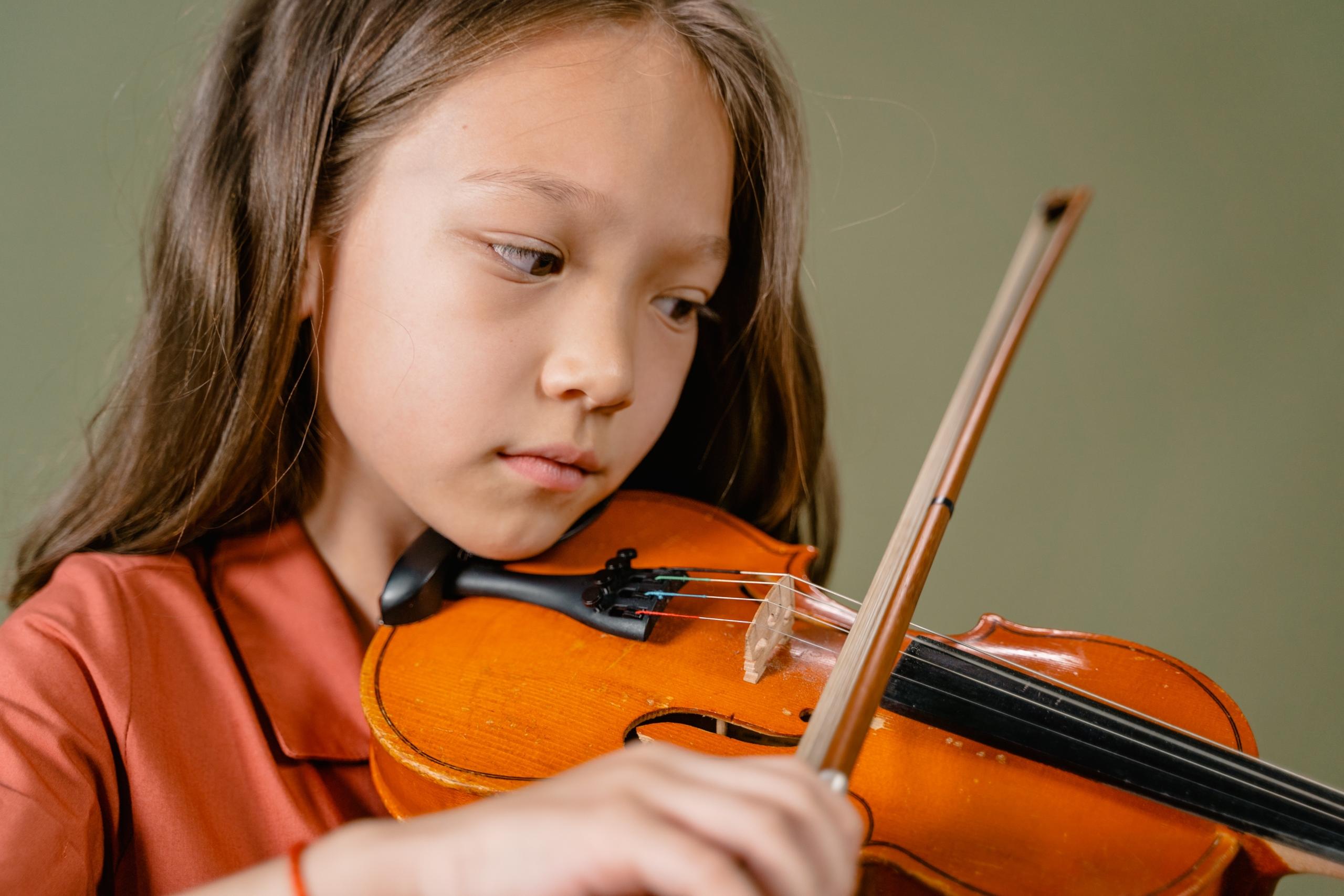 The harmonious symmetry of a violin's bridge, the conduit for transferring vibrations and creating music.
