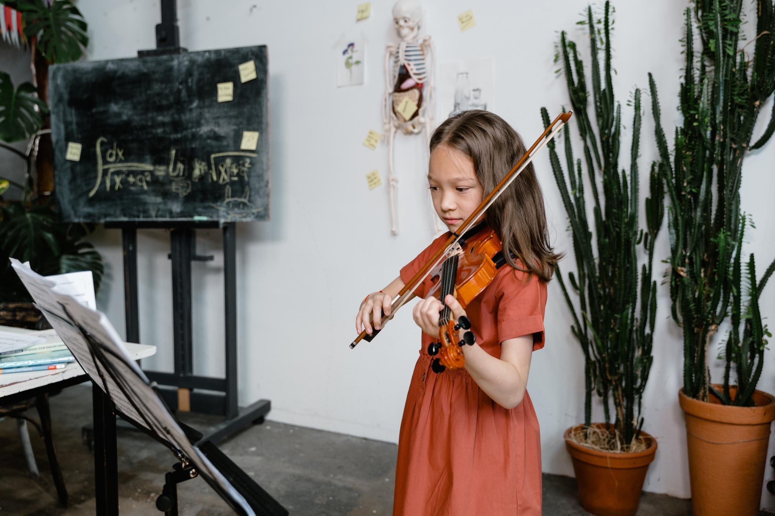 An intimate portrayal of the pegbox and tuning pegs on a violin, illustrating the functional yet artistic aspect of the instrument.