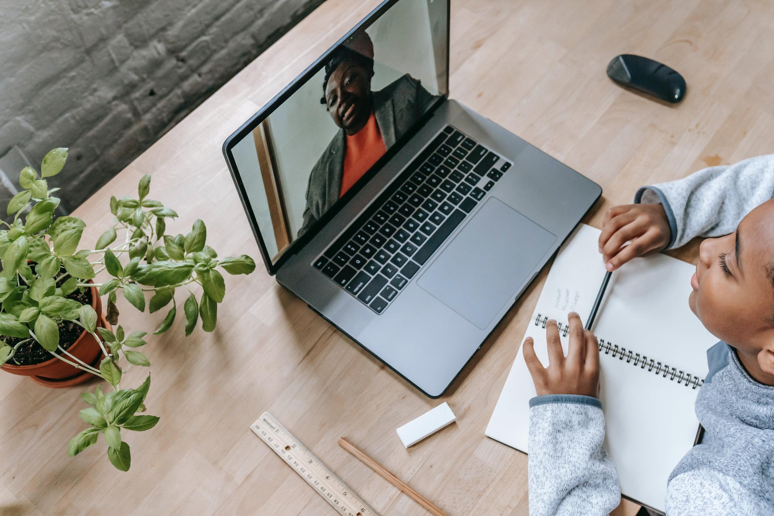 A french tutoring session being carried out online.