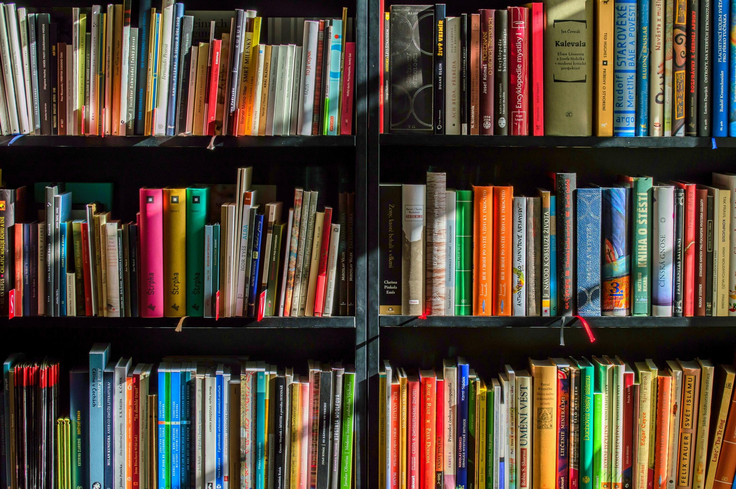 A wide variety of books collected and displayed along a shelf.