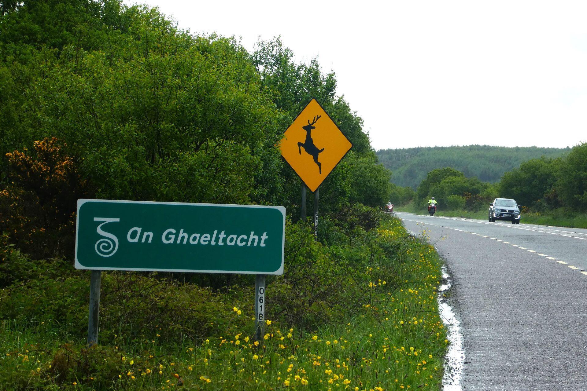 Green An Ghaeltacht sign beside a rural road with a deer warning sign