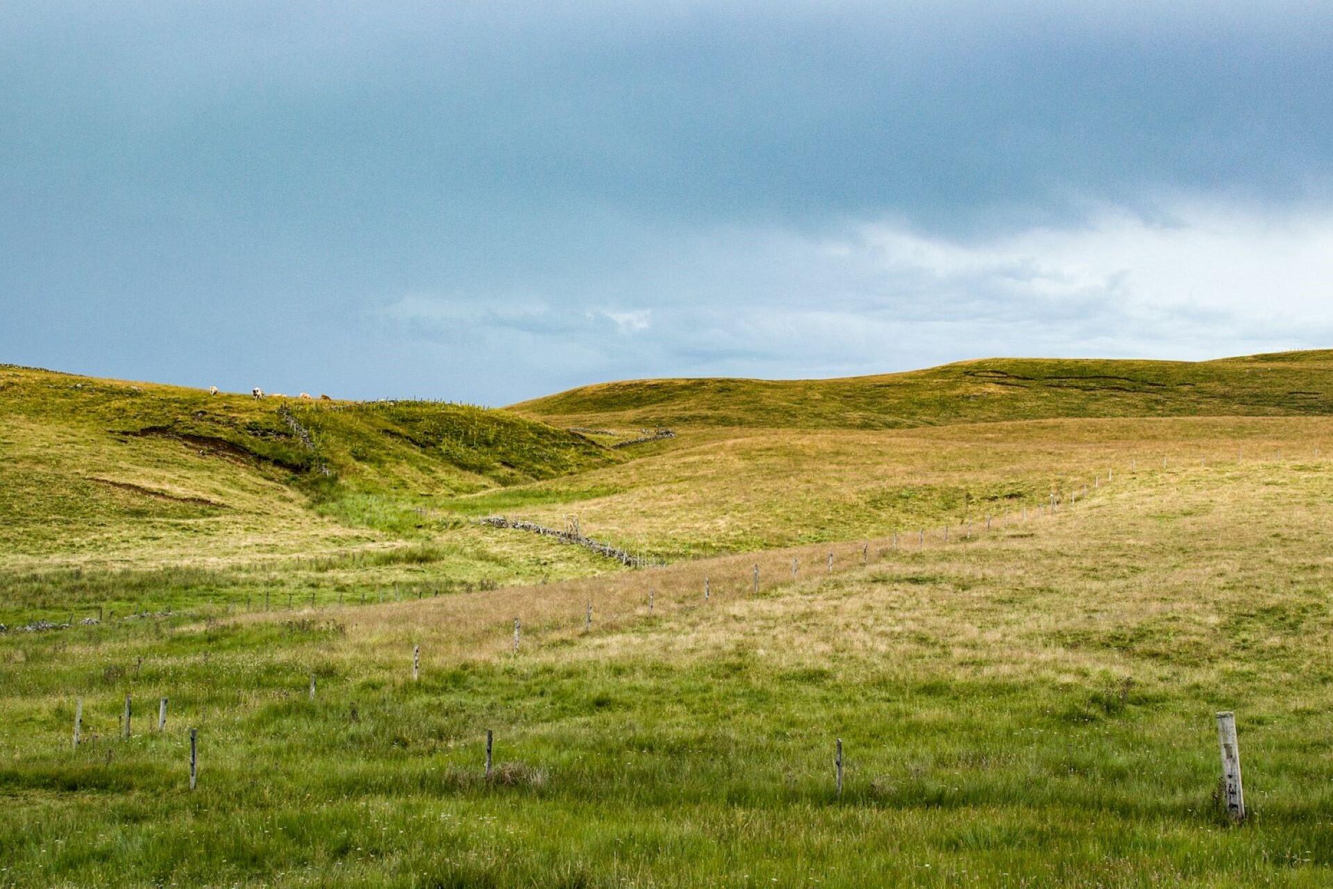 Aubrac, Massif Central.
