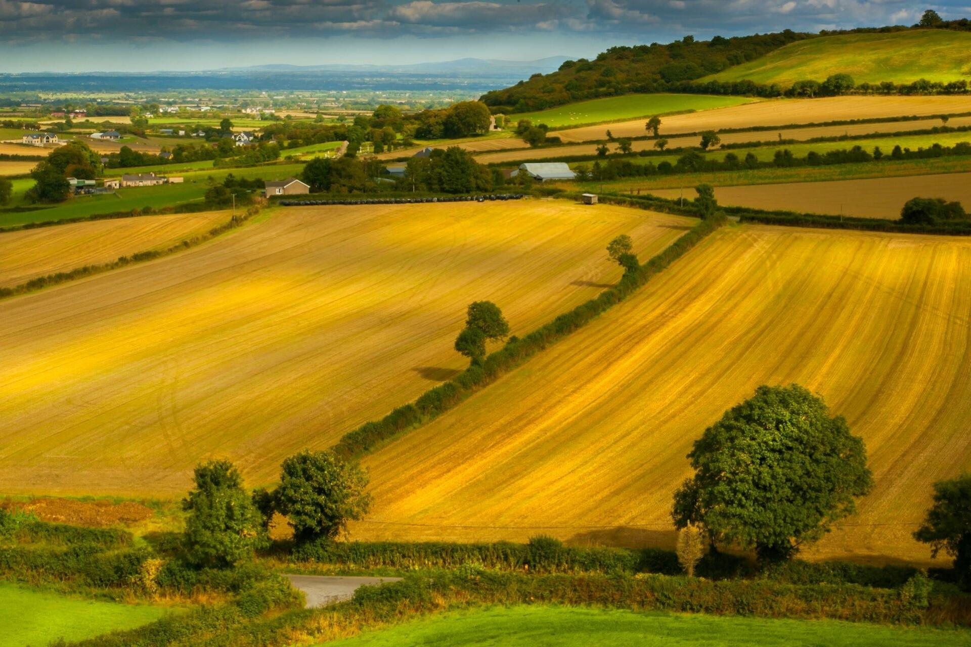 Fields in Ireland.