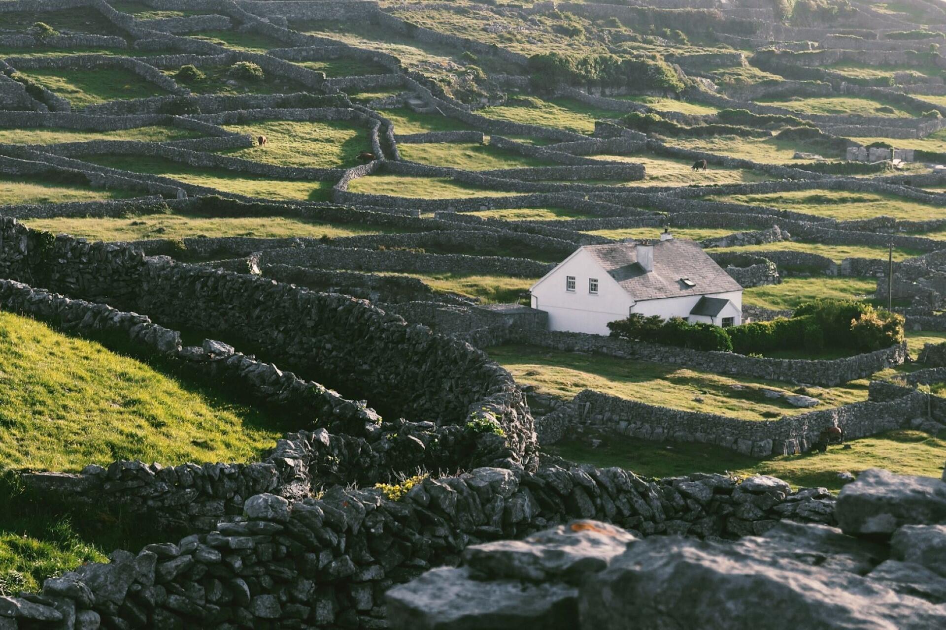 A rural Irish house.