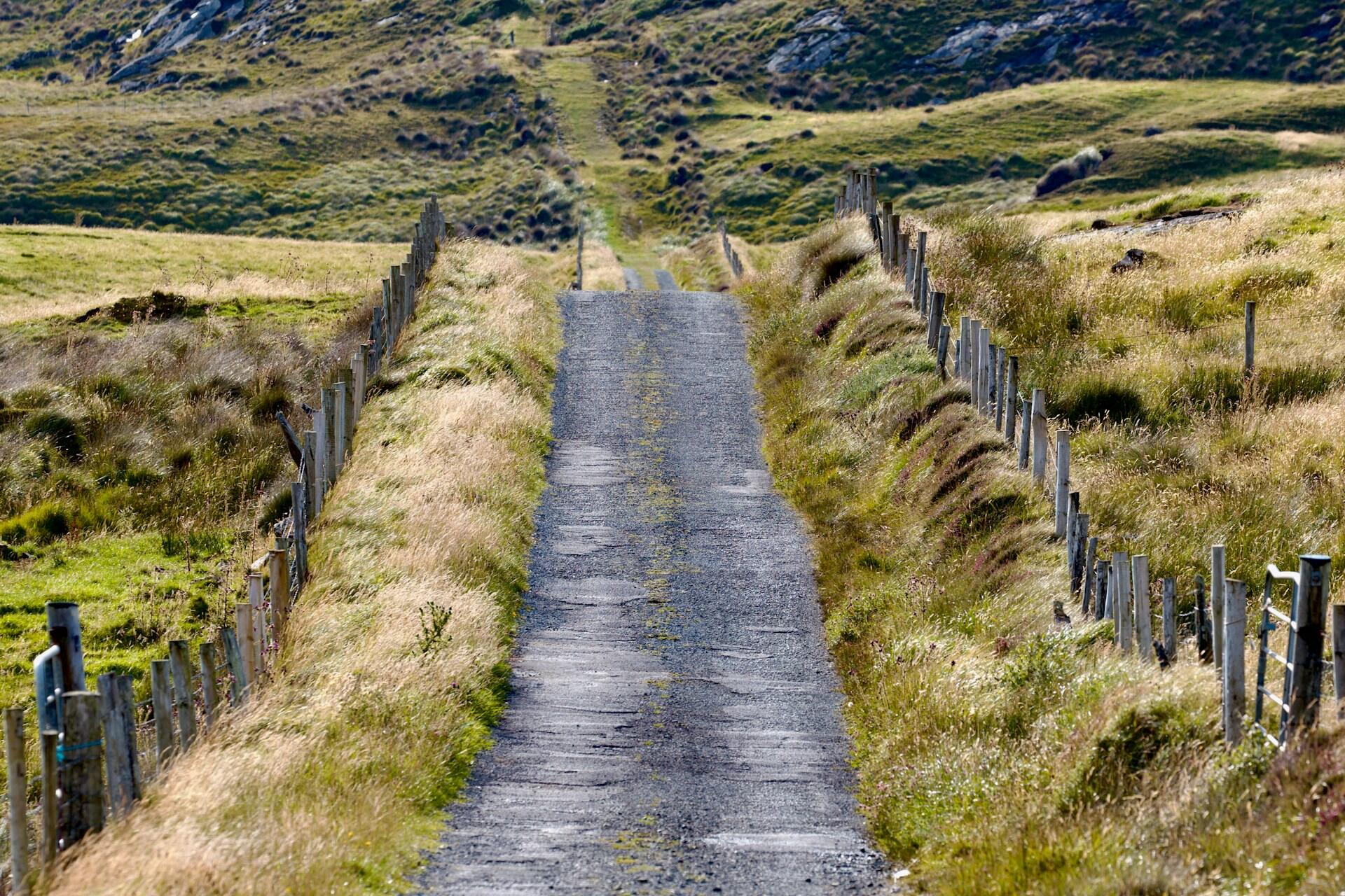 narrow country road with grass fields and fences on both sides