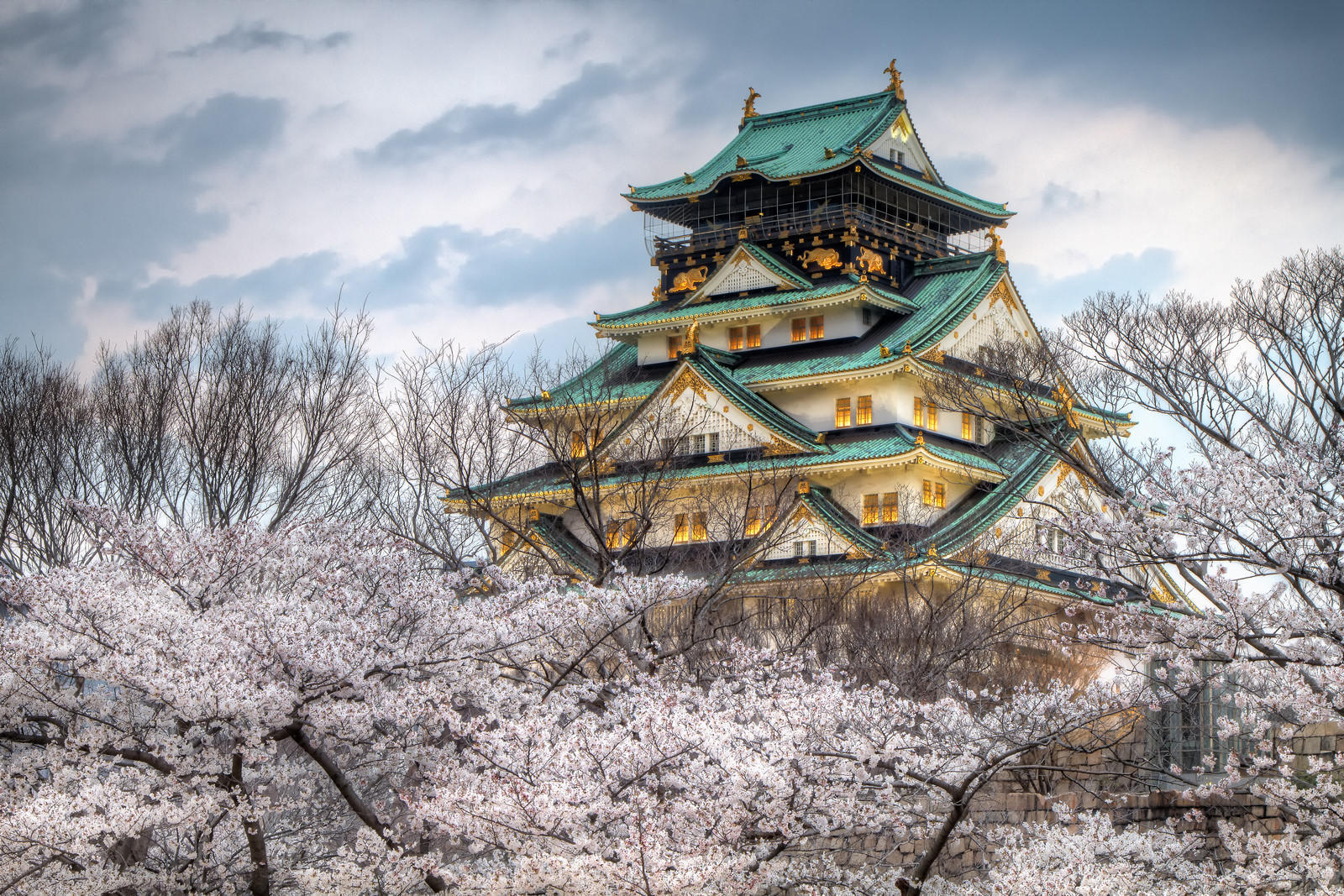 Osaka Castle during cherry blossom season.