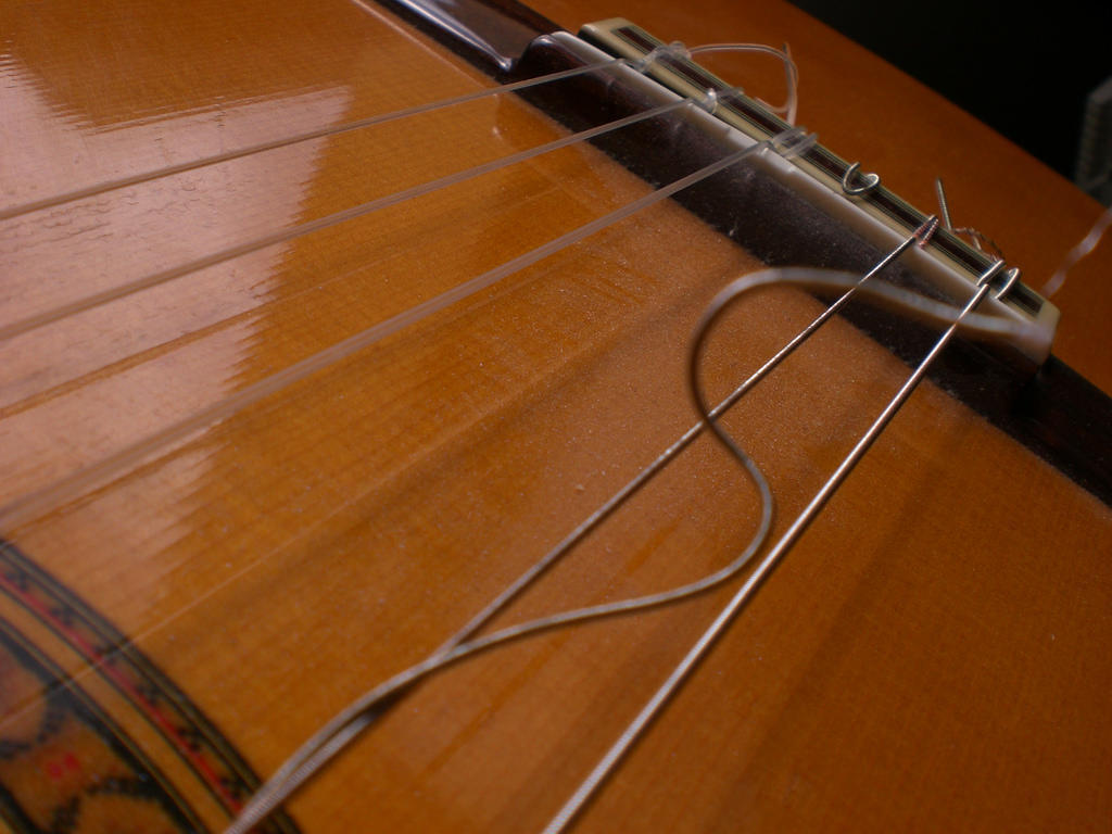 Broken guitar strings