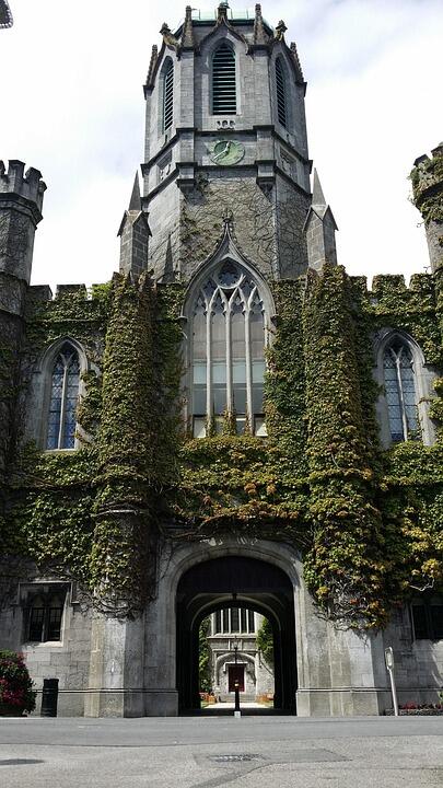 Irish lessons by province