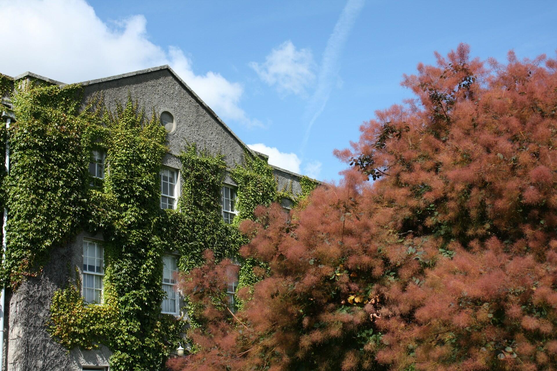 Maynooth University, Ireland.