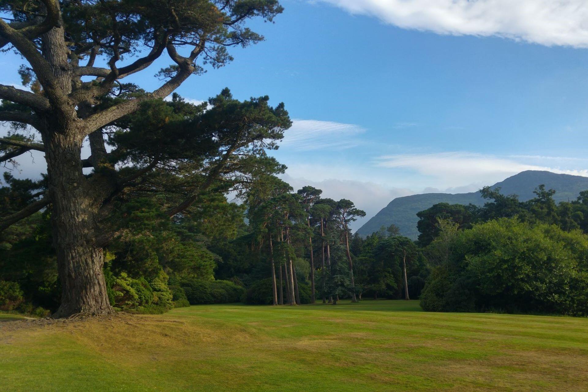 A national park in Ireland.