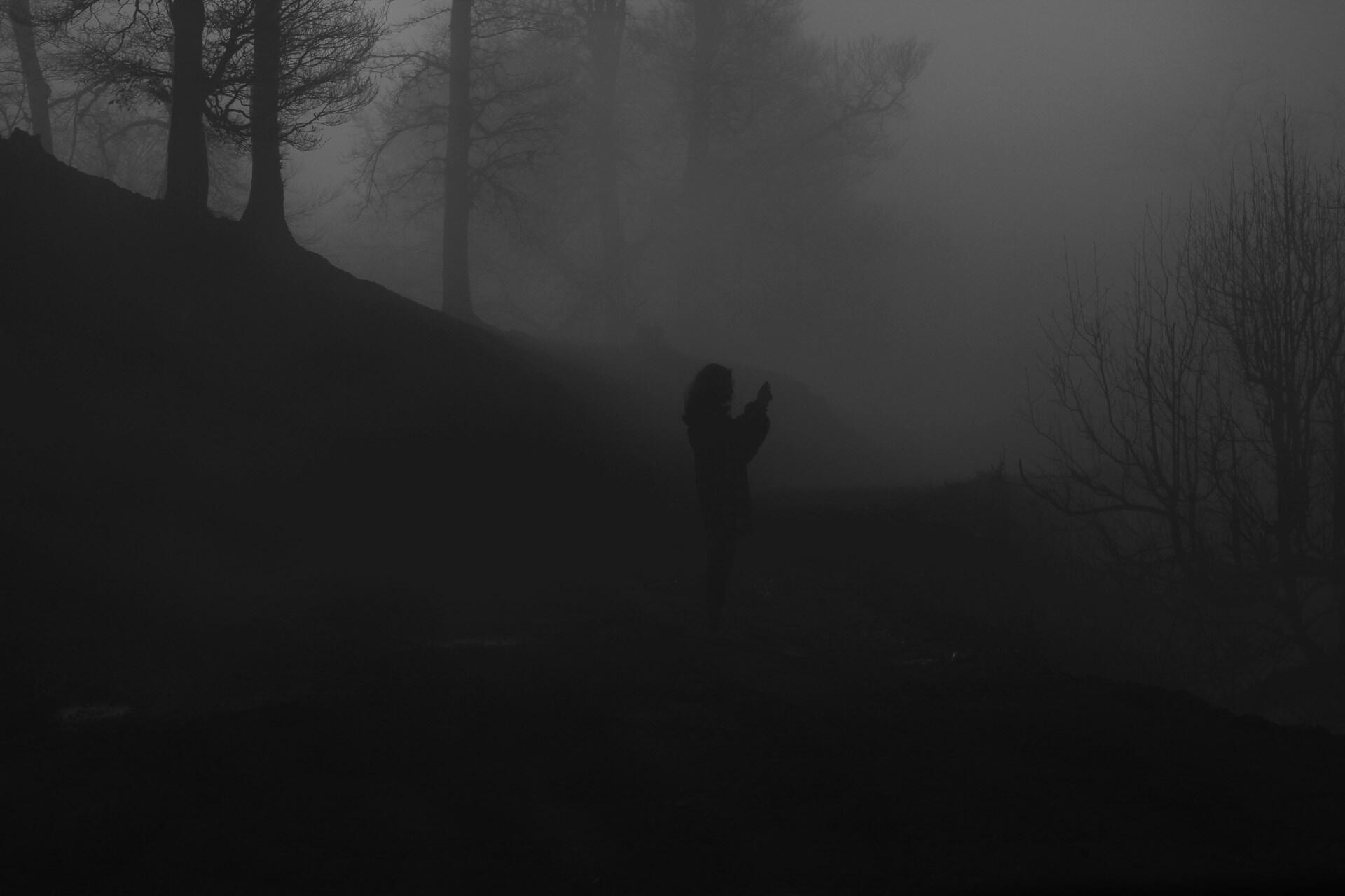 Silhouette of a person in a dark misty forest