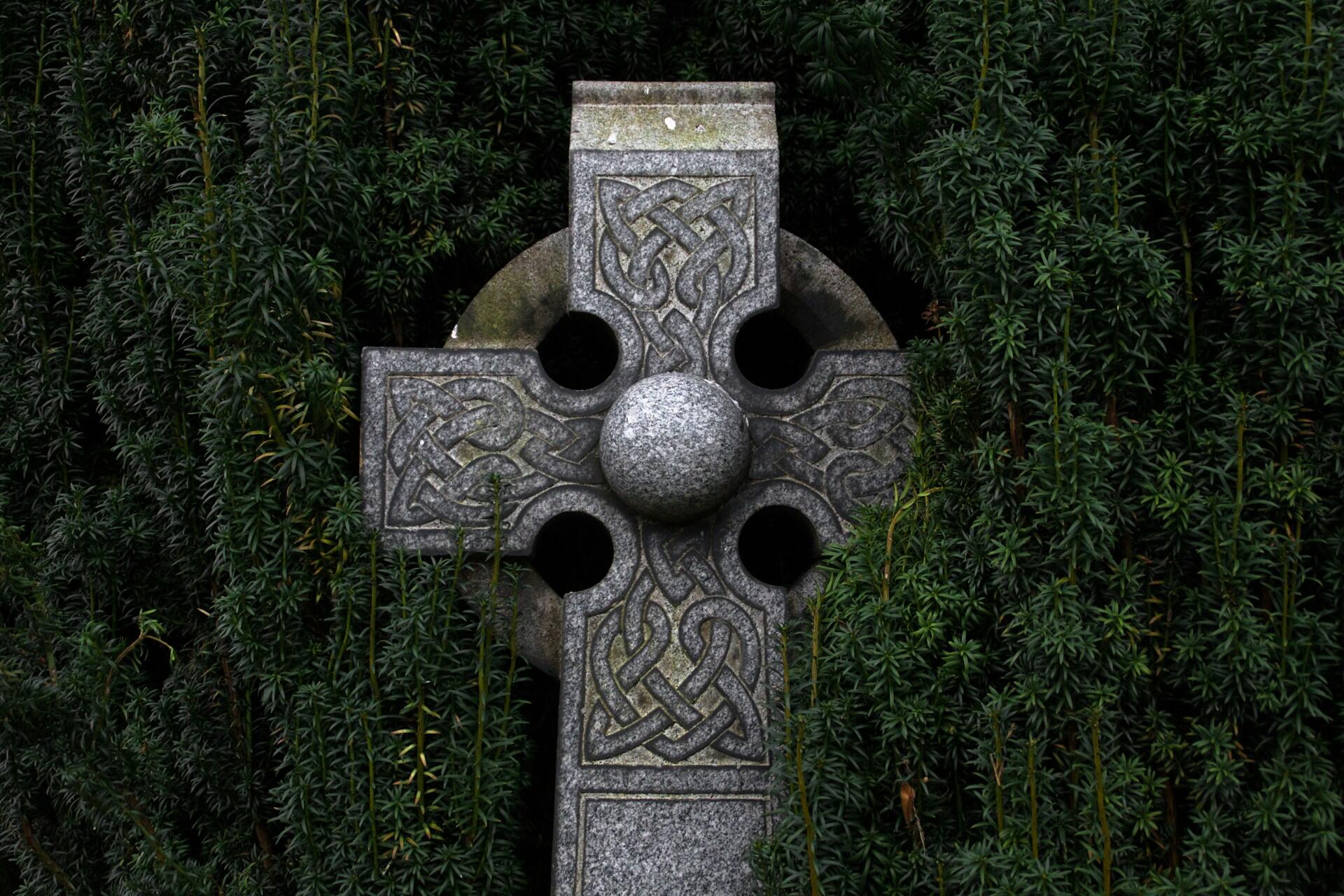 Stone Celtic cross with carved knotwork surrounded by dark green foliage