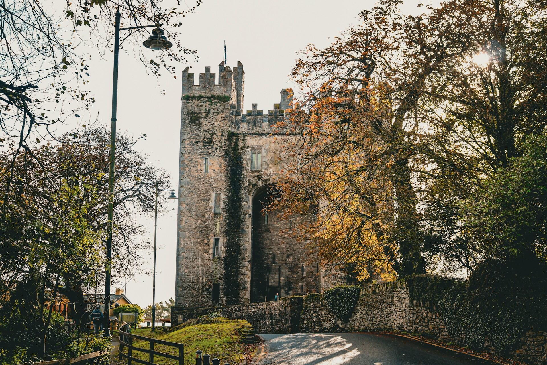 Stone castle in rural Ireland surrounded by trees and countryside