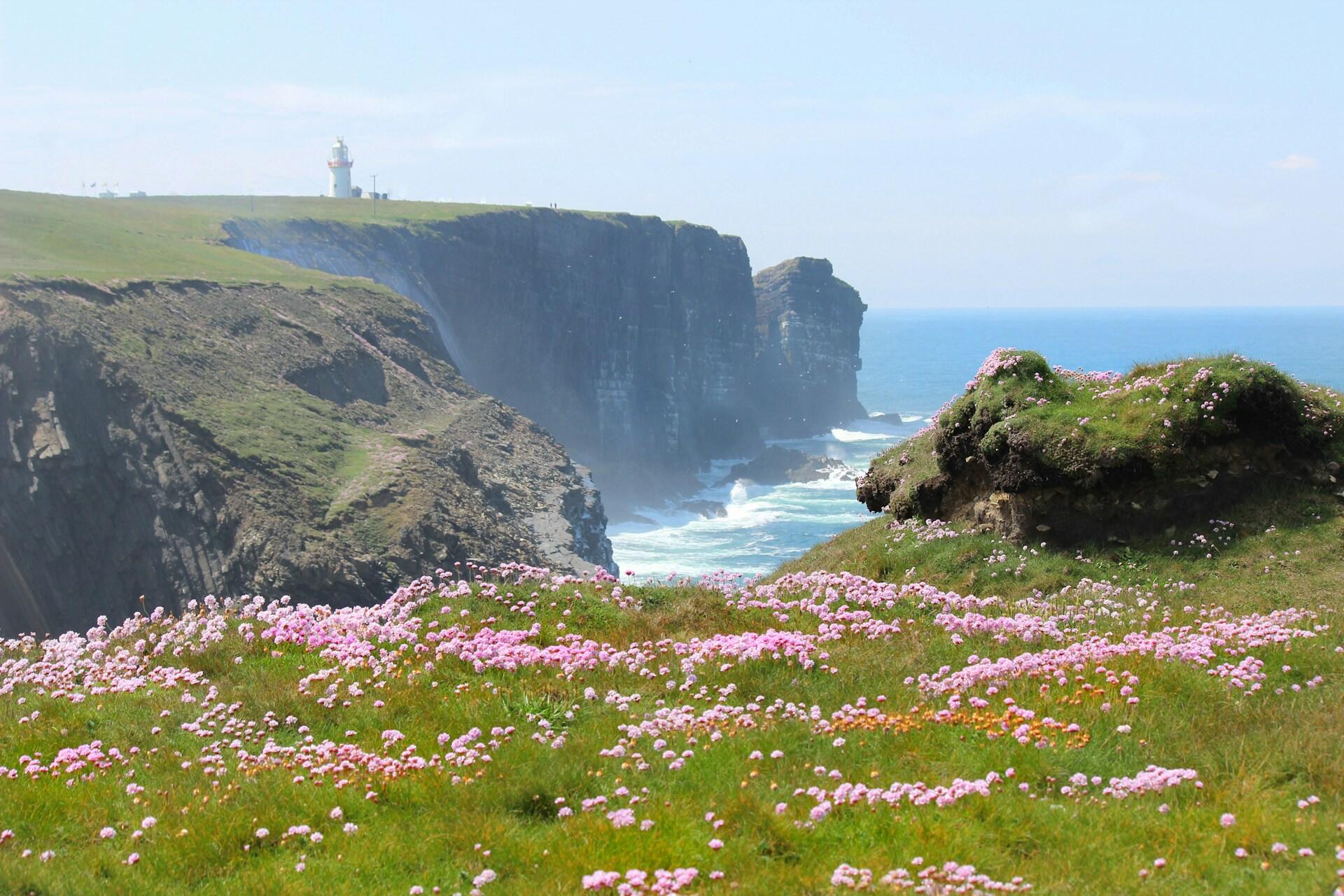 Irish coastline with wildflowers, cliffs, and lighthouse overlooking the ocean