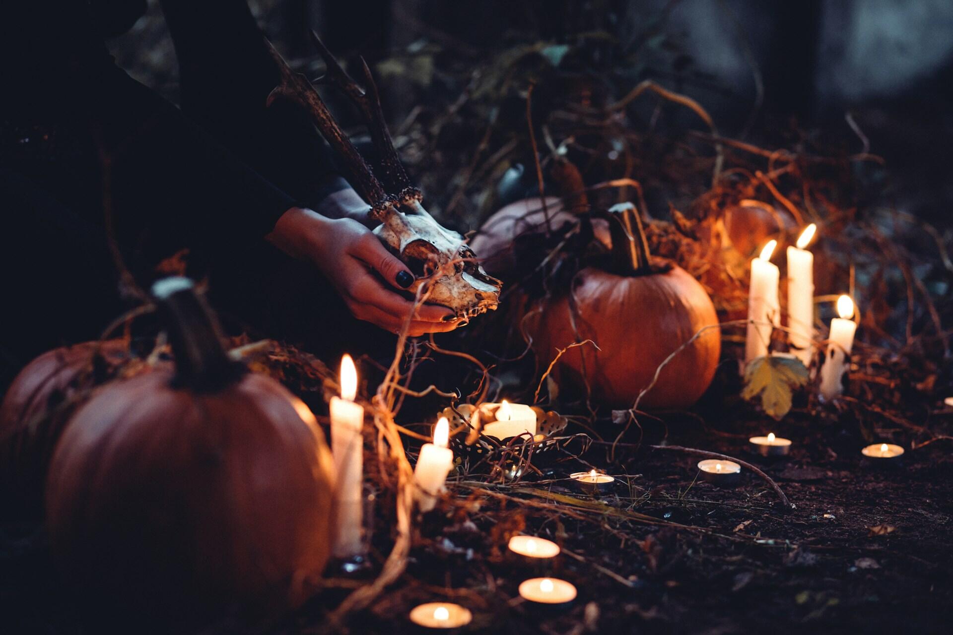 Pumpkins, candles and a small animal skull arranged as Halloween decorations