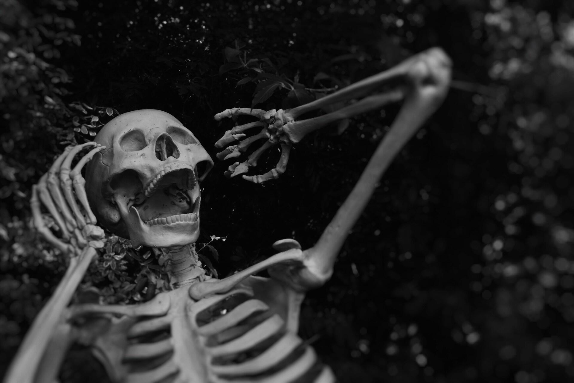 Halloween skeleton decoration reaching through trees