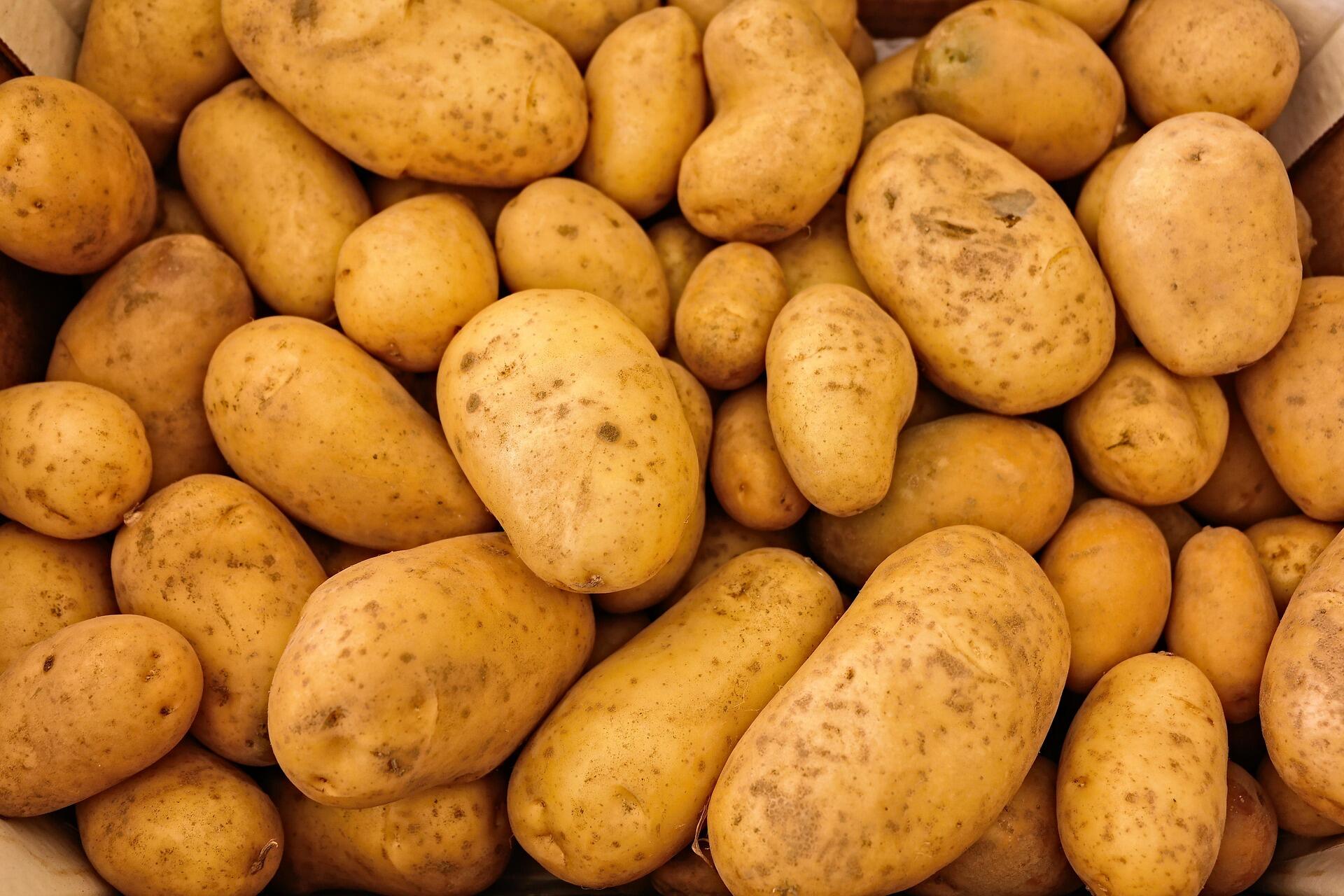 תפוחי אדמה