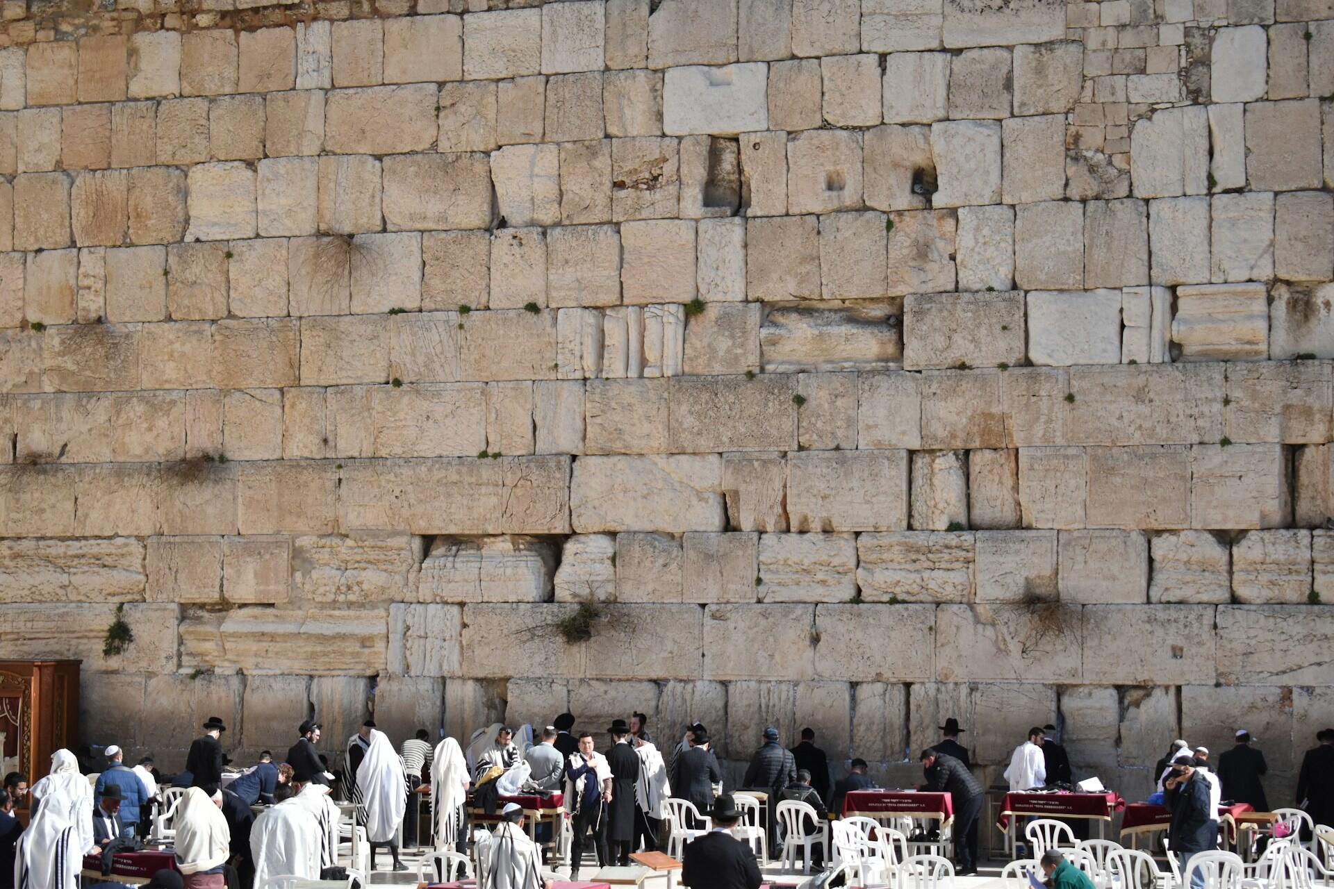 גברים מתפללים בכותל
