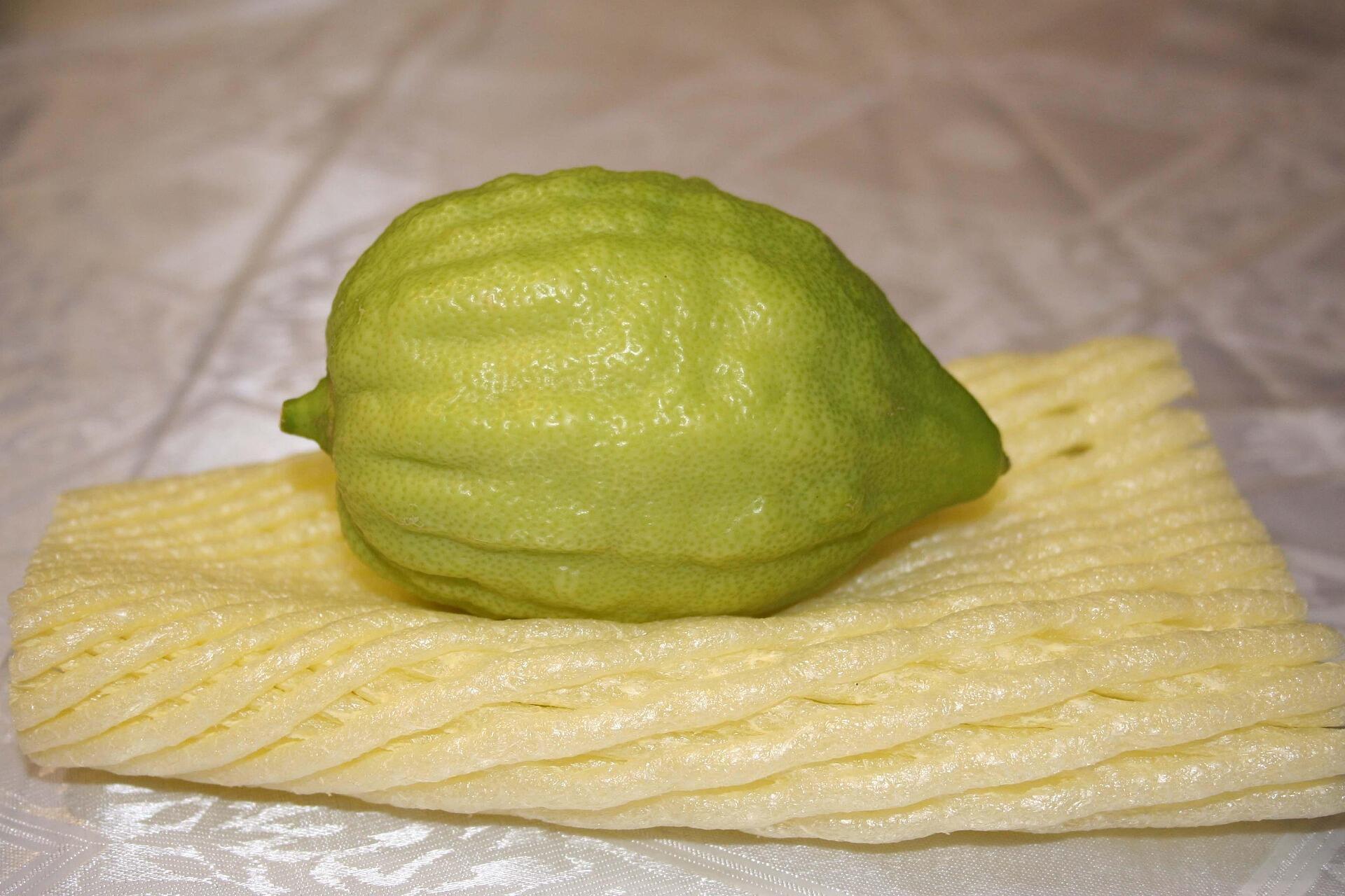 אתרוג ארבעת המינים