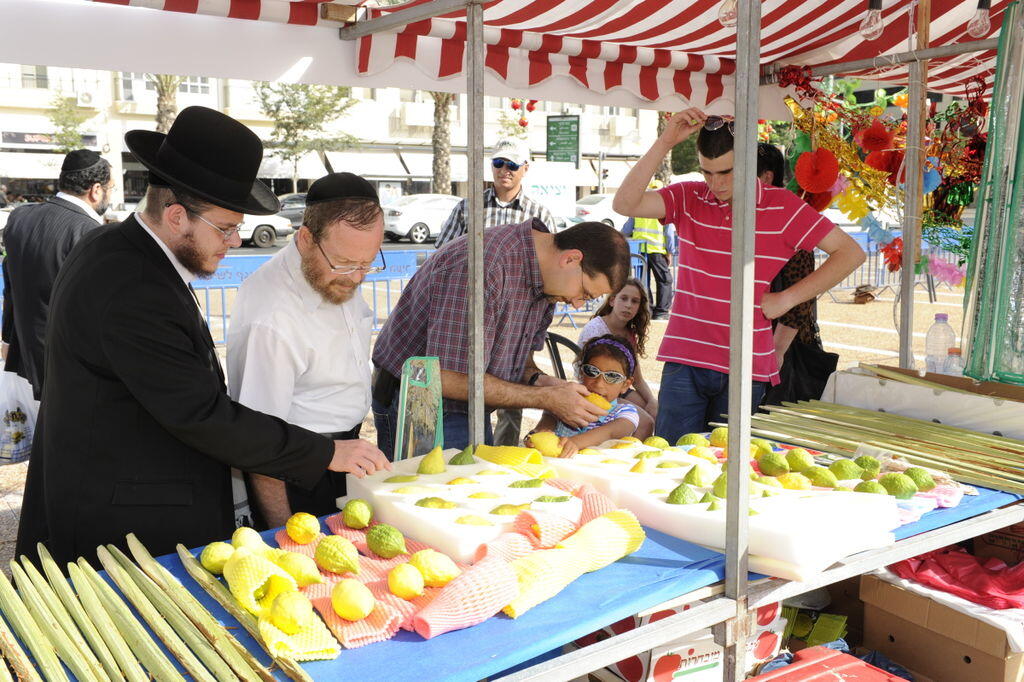ארבעת המינים בתל אביב